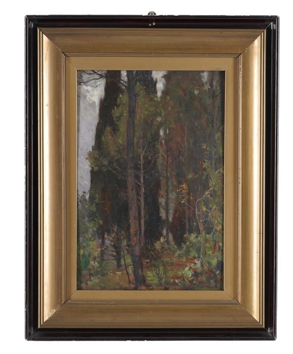 Paesaggio