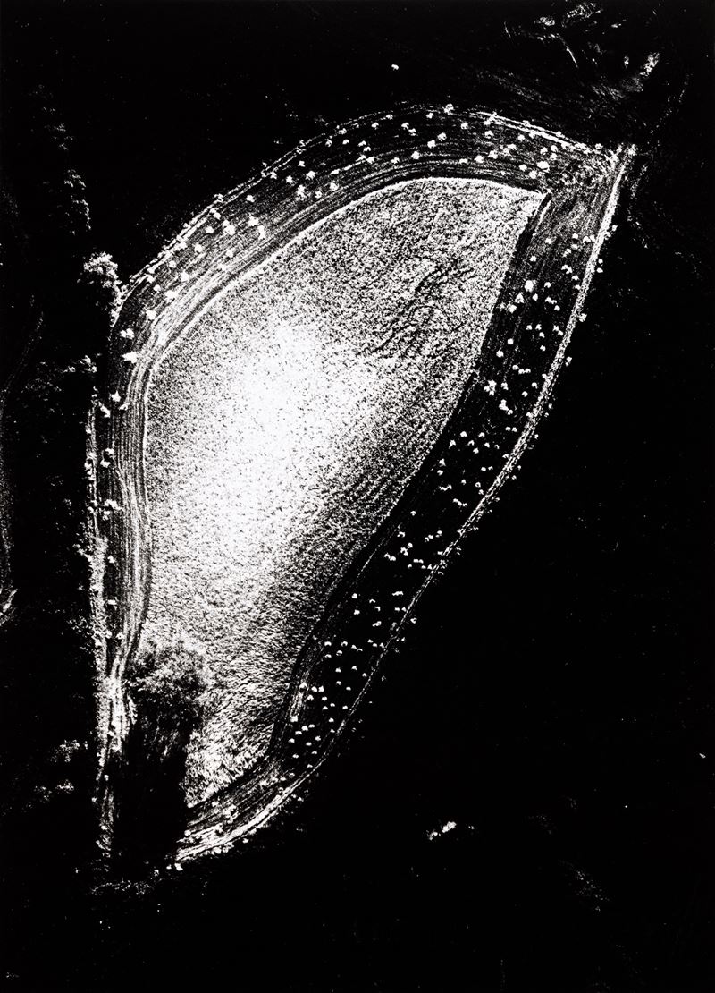 Senza titolo, dalla serie "Presa di coscienza sulla natura"