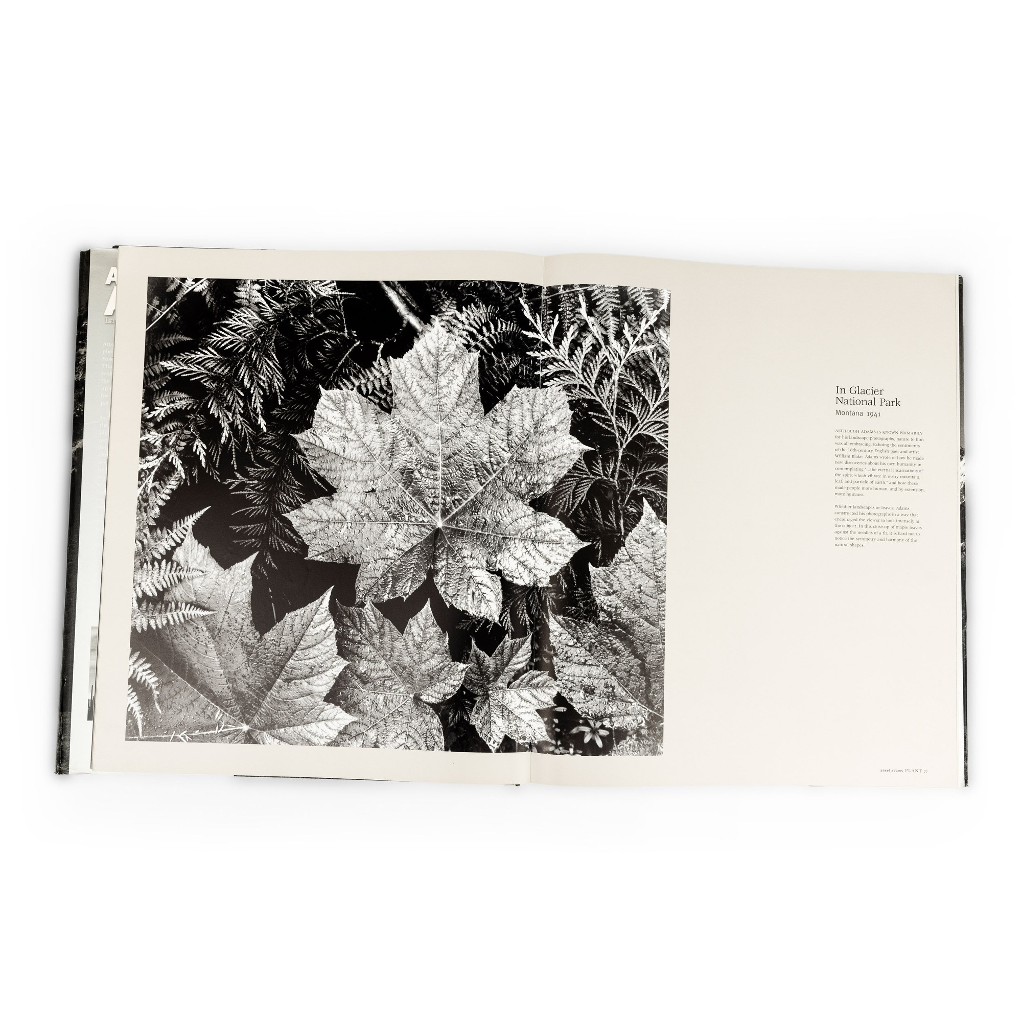 Ansel Adams: Landscapes of the American West, 2008