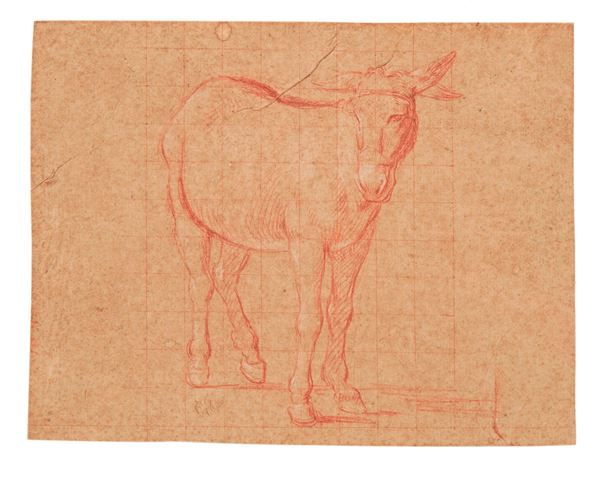 Asinello