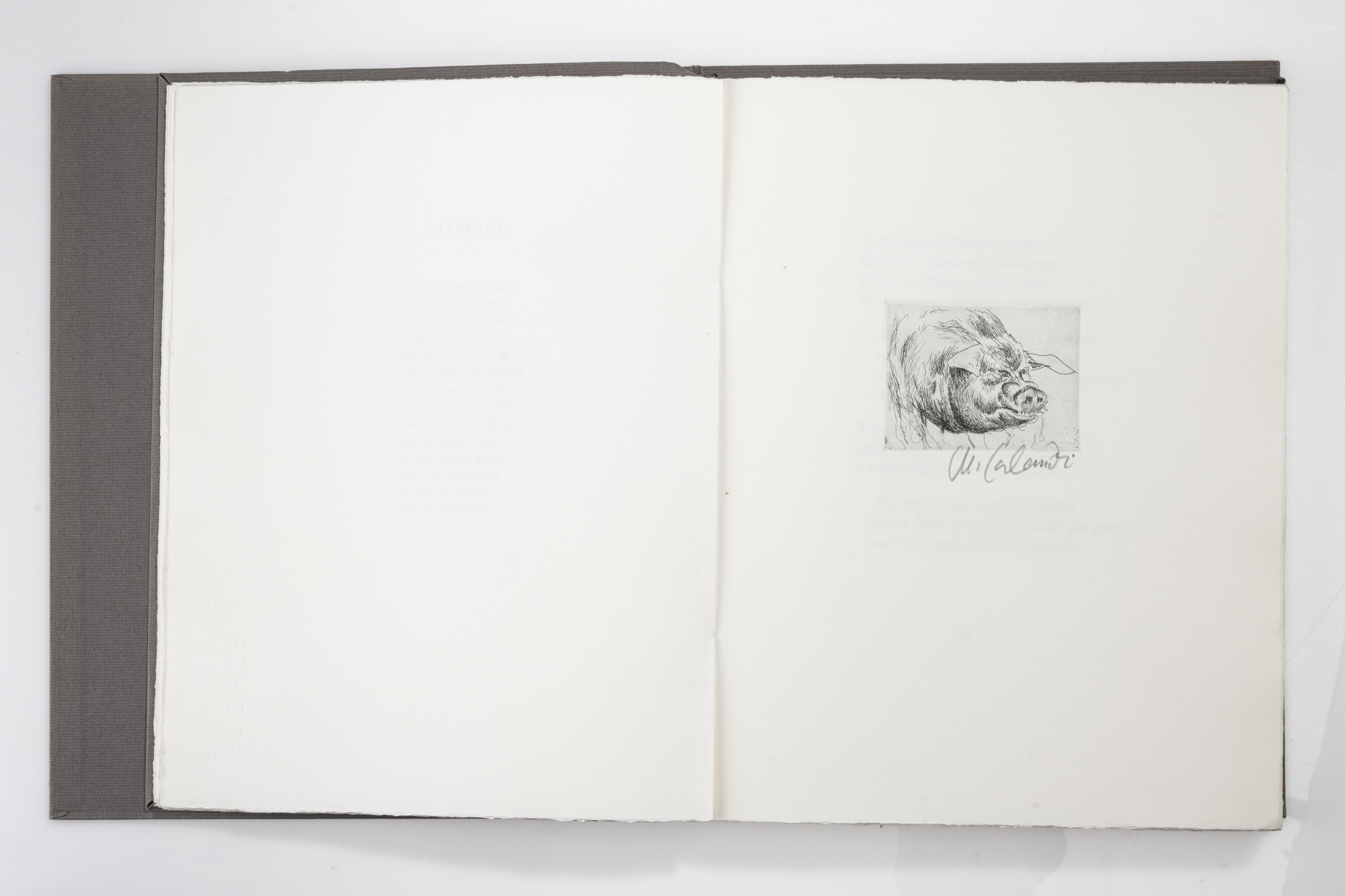 Mario Calandri - I sonetti di Rustico di Filippo