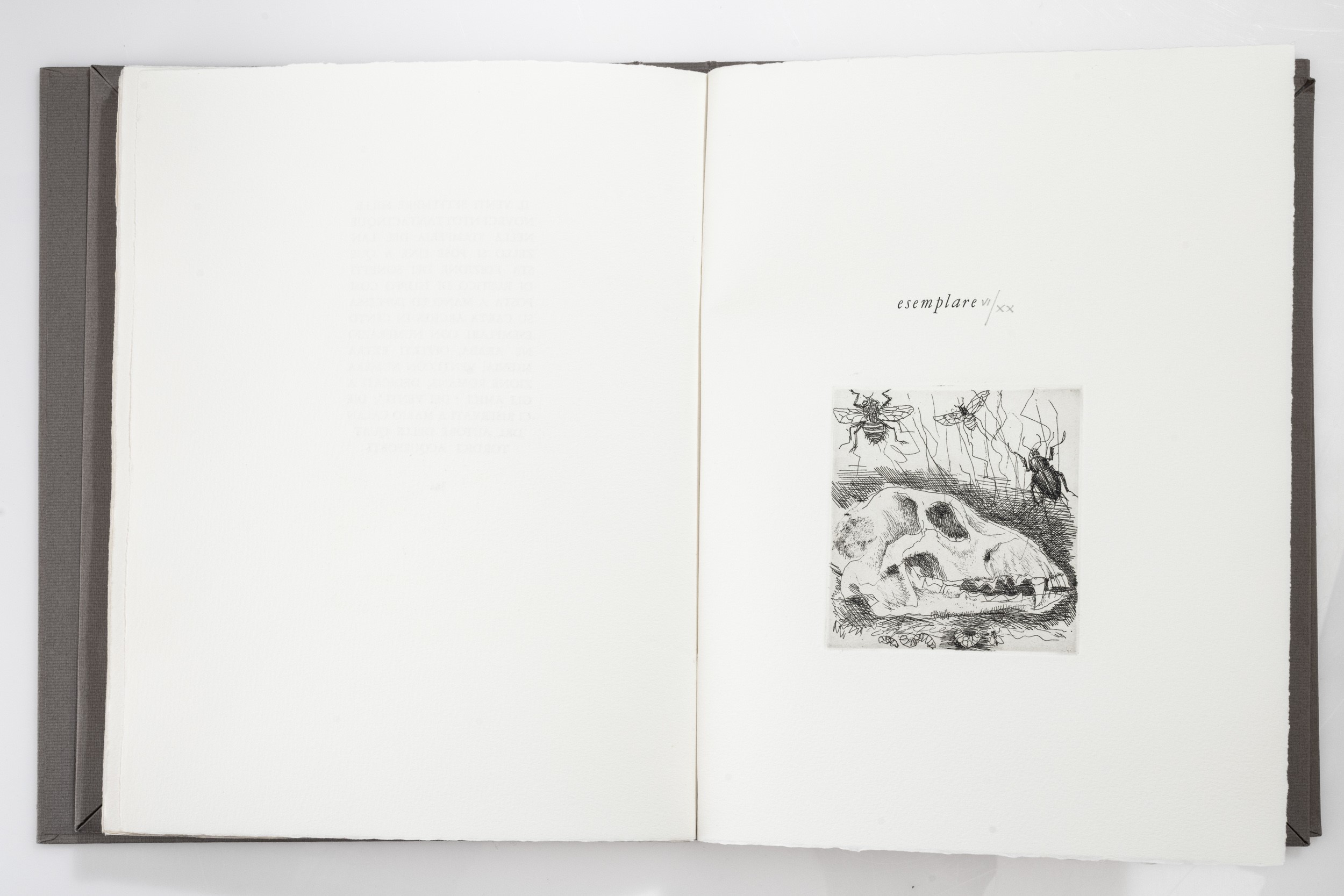 Mario Calandri - I sonetti di Rustico di Filippo