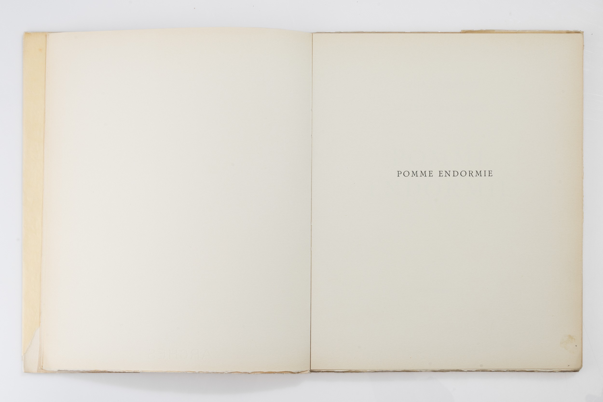 Alberto Giacometti - Léna Leclercq - Giacometti, Pomme endormie
