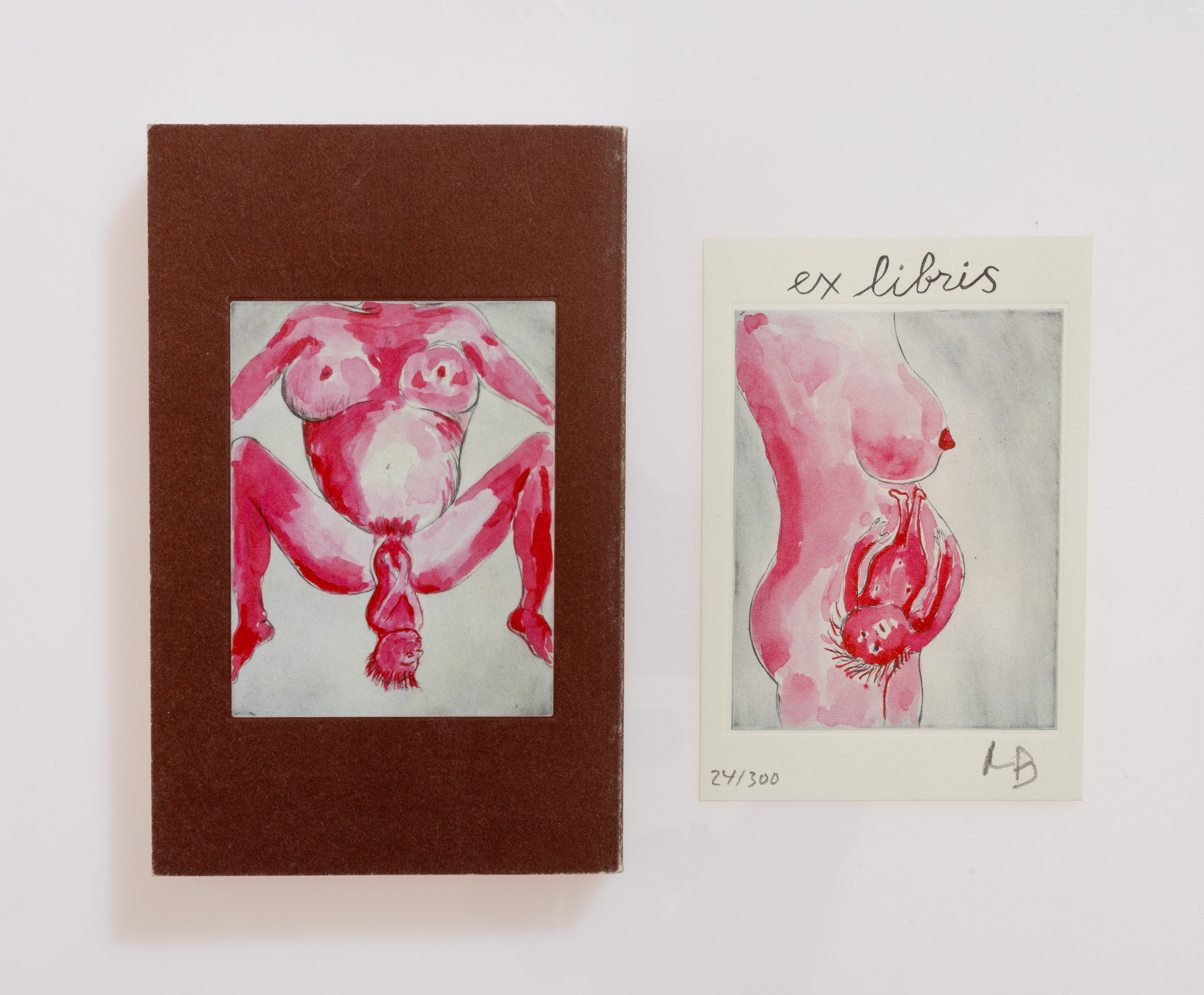 Louise Bourgeois - Recueil des Secrets