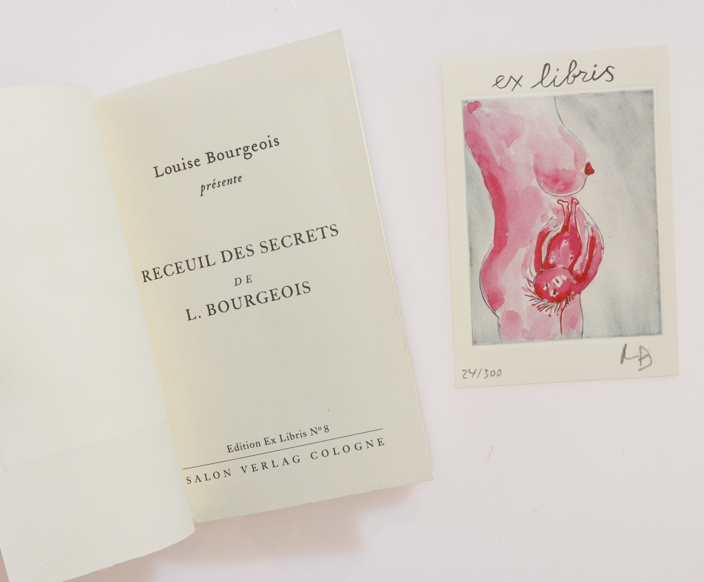 Louise Bourgeois - Recueil des Secrets