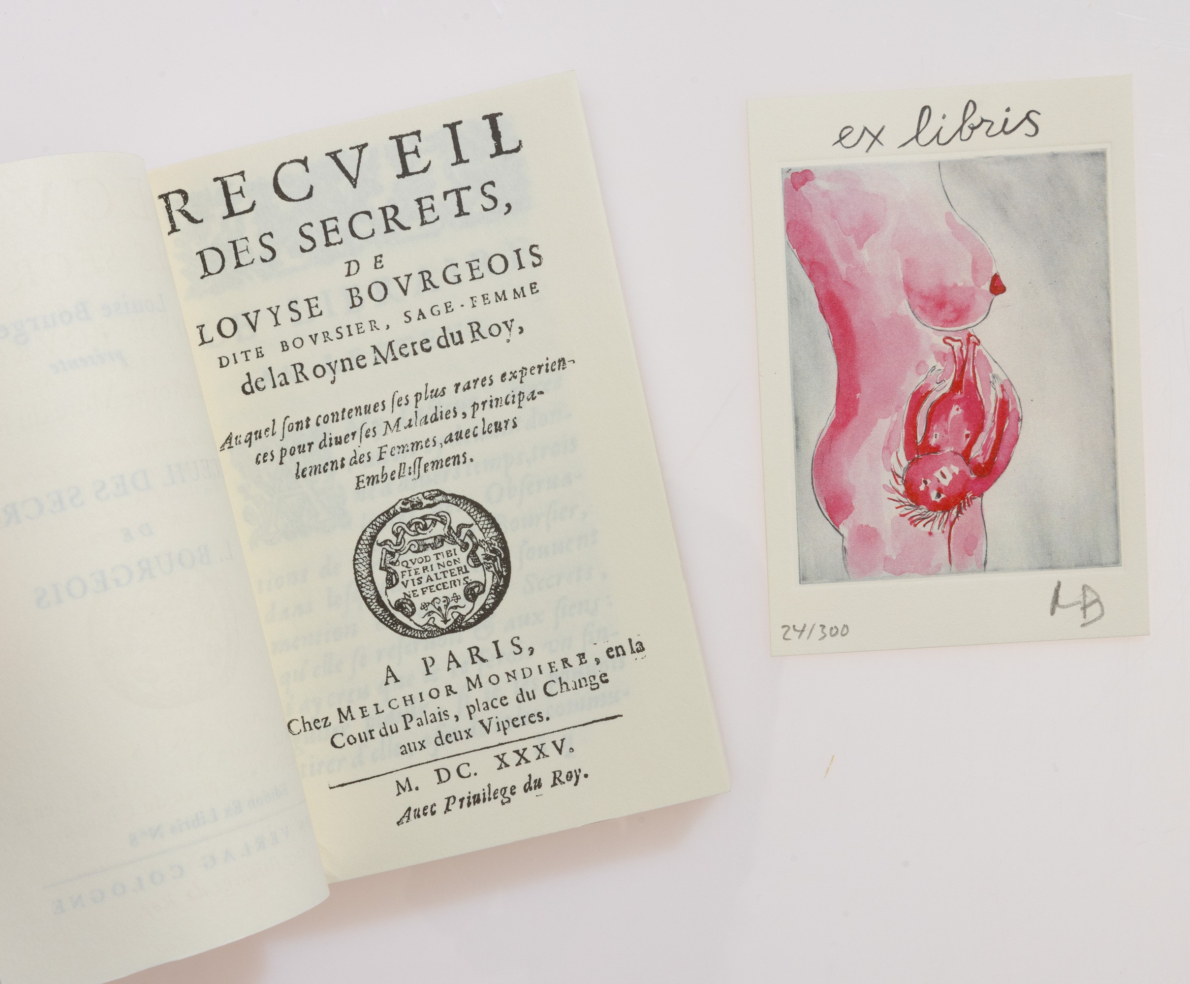 Louise Bourgeois - Recueil des Secrets
