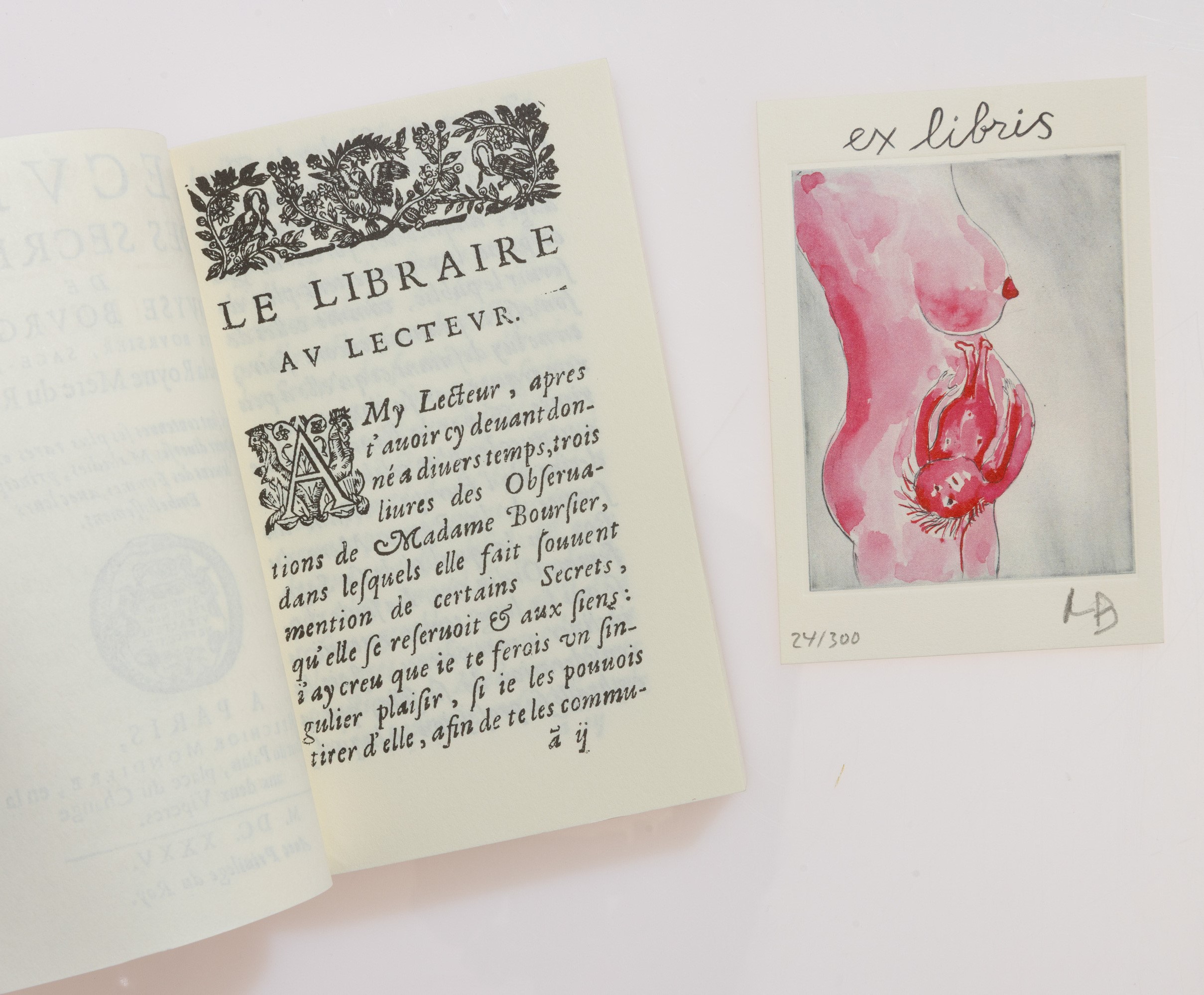 Louise Bourgeois - Recueil des Secrets
