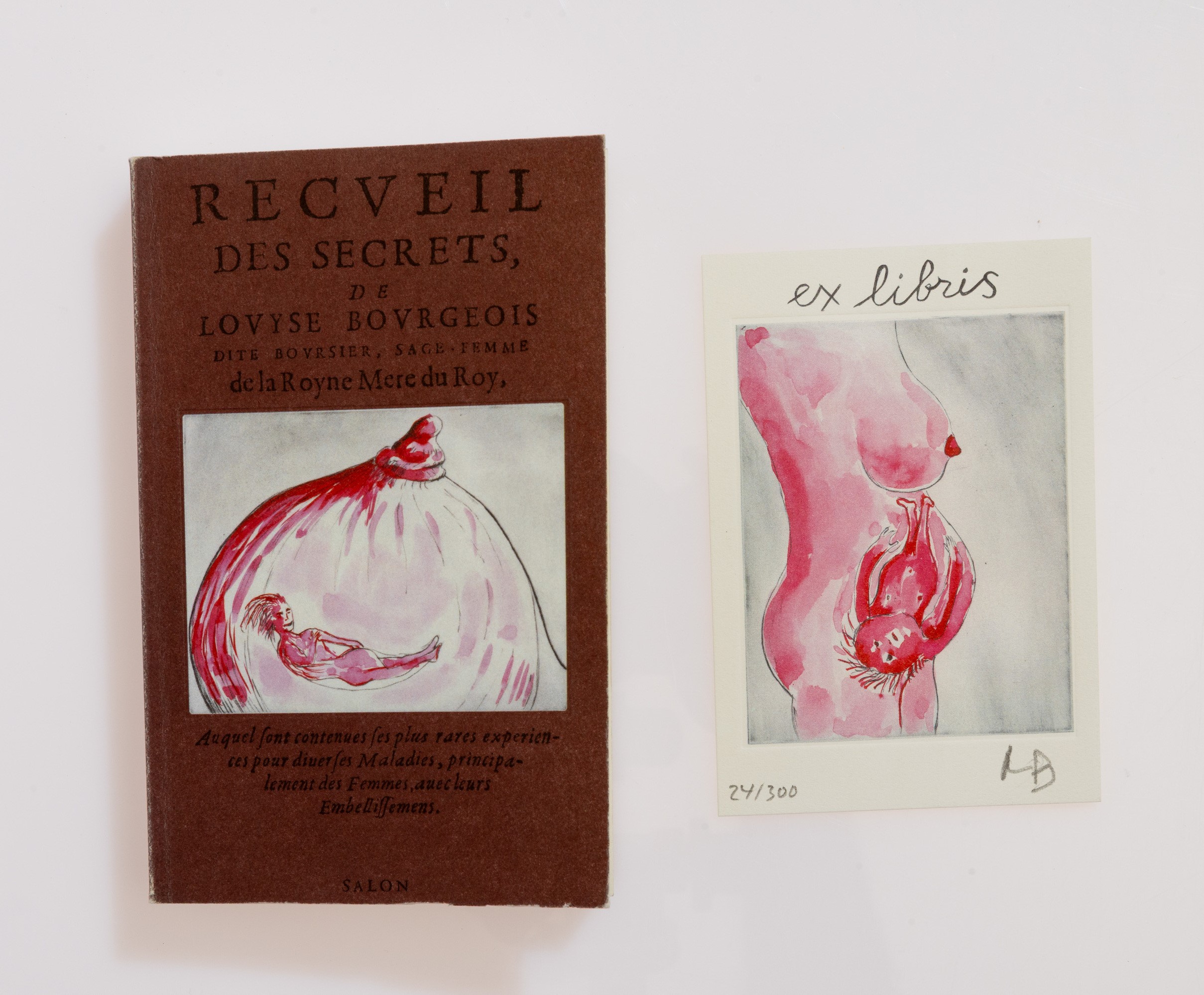 Louise Bourgeois - Recueil des Secrets