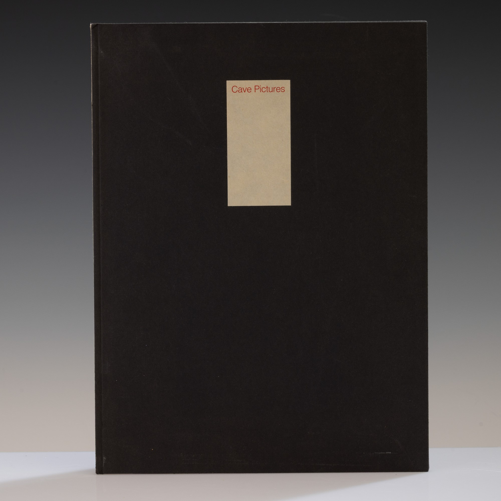 Jonathan Lasker - Everett Potter - Jonathan Lasker, Everett Potter, Cave Pictures