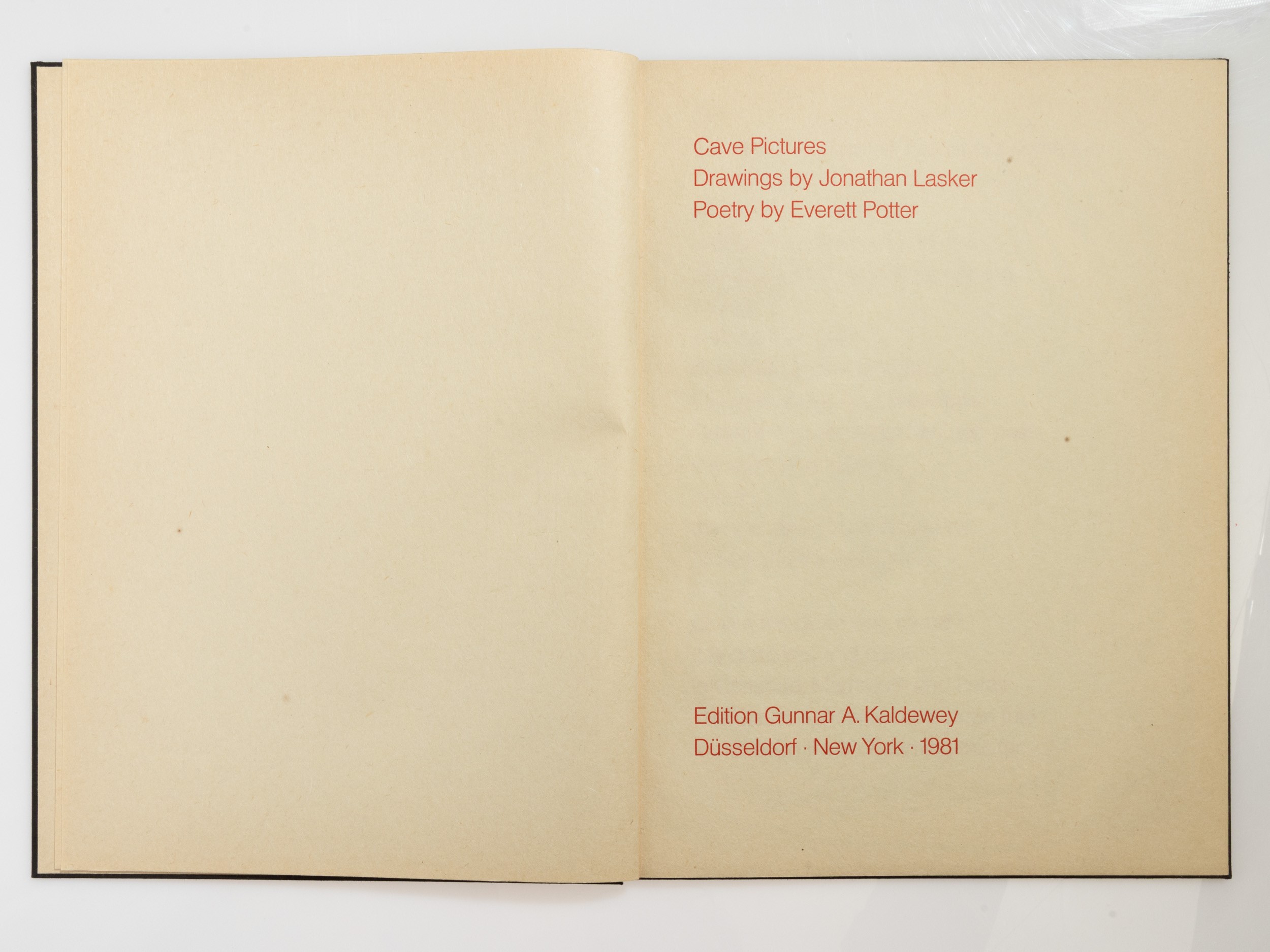 Jonathan Lasker - Everett Potter - Jonathan Lasker, Everett Potter, Cave Pictures