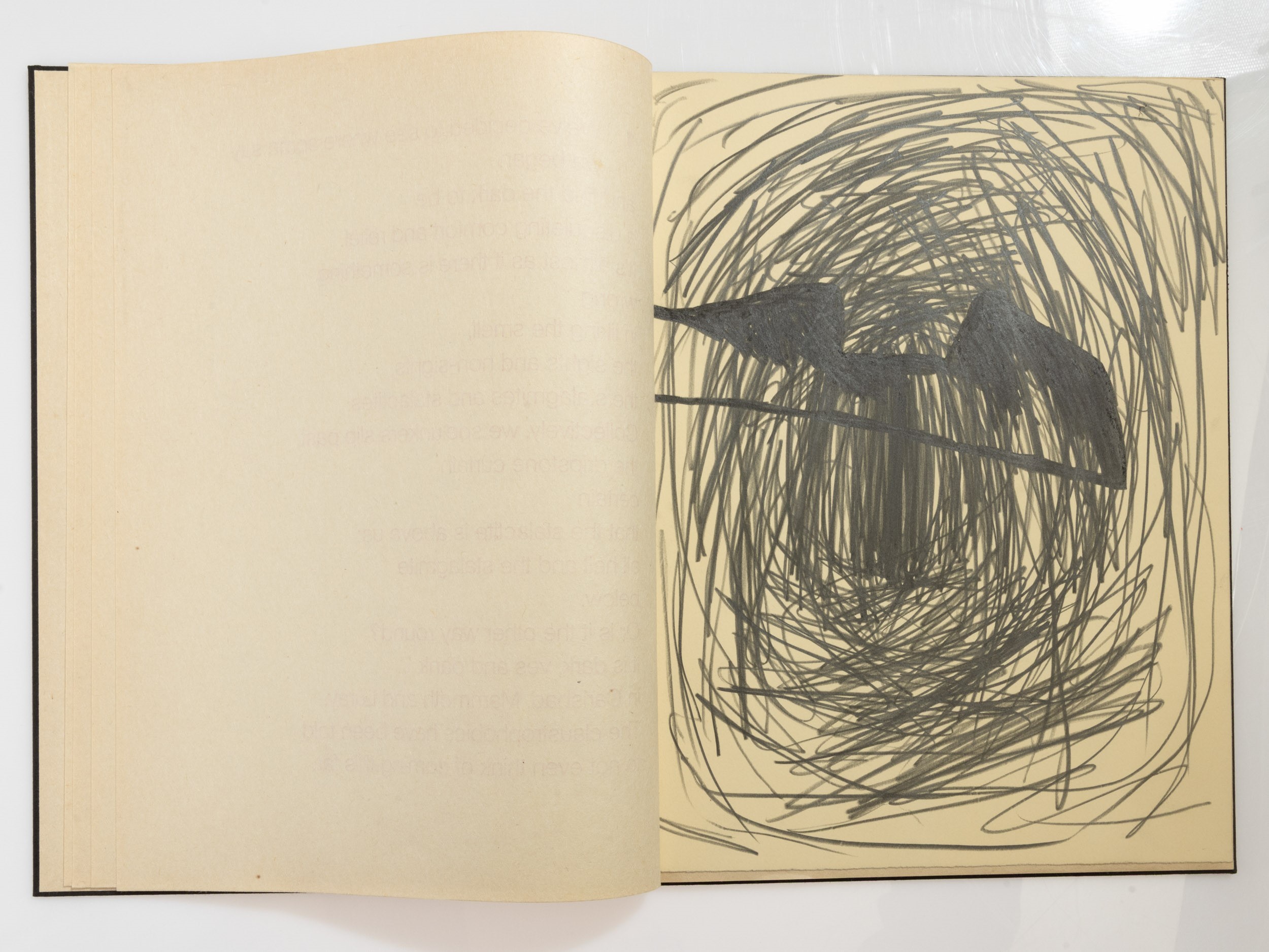 Jonathan Lasker - Everett Potter - Jonathan Lasker, Everett Potter, Cave Pictures