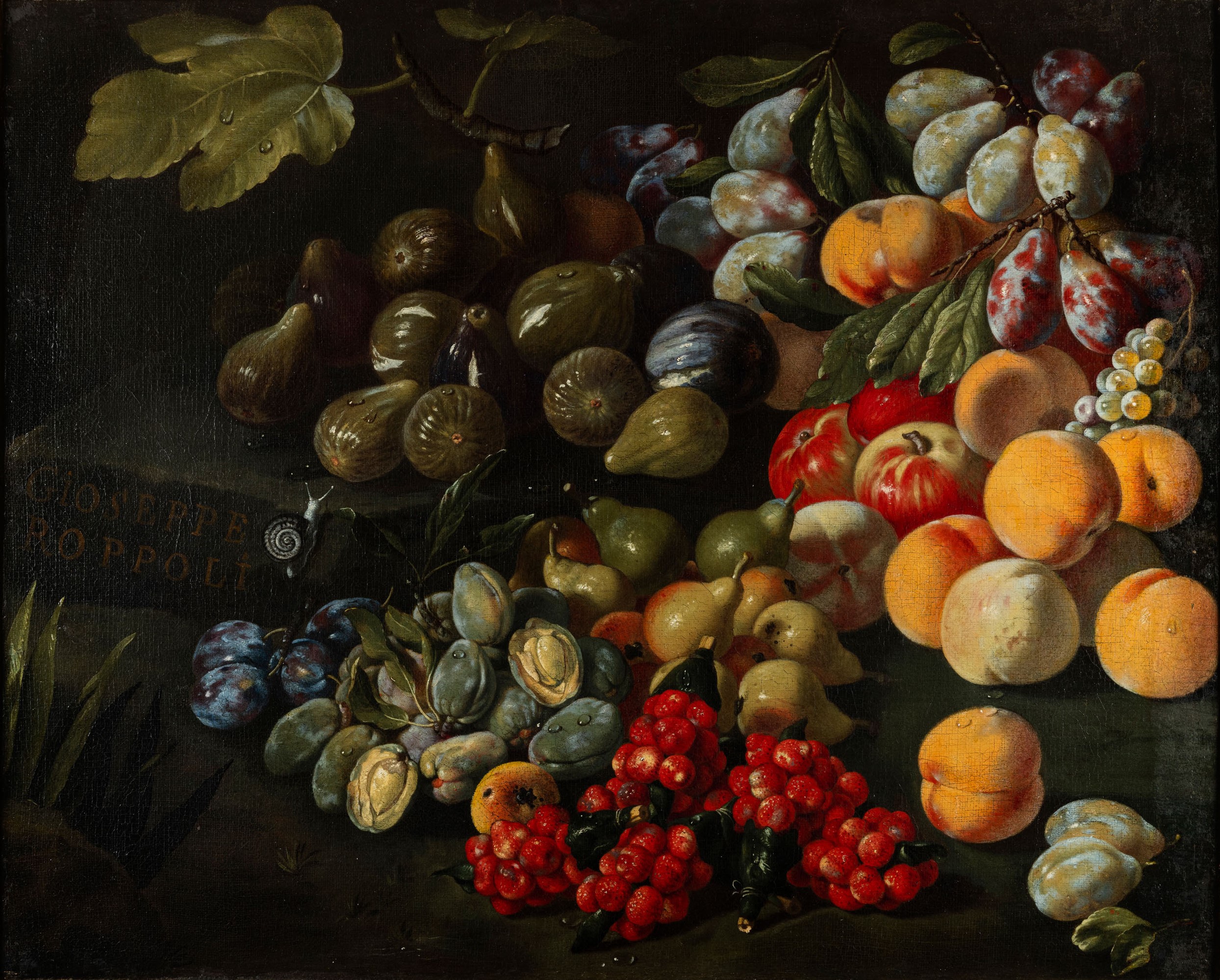 Composizione di frutti con fichi, prugne e pesche
