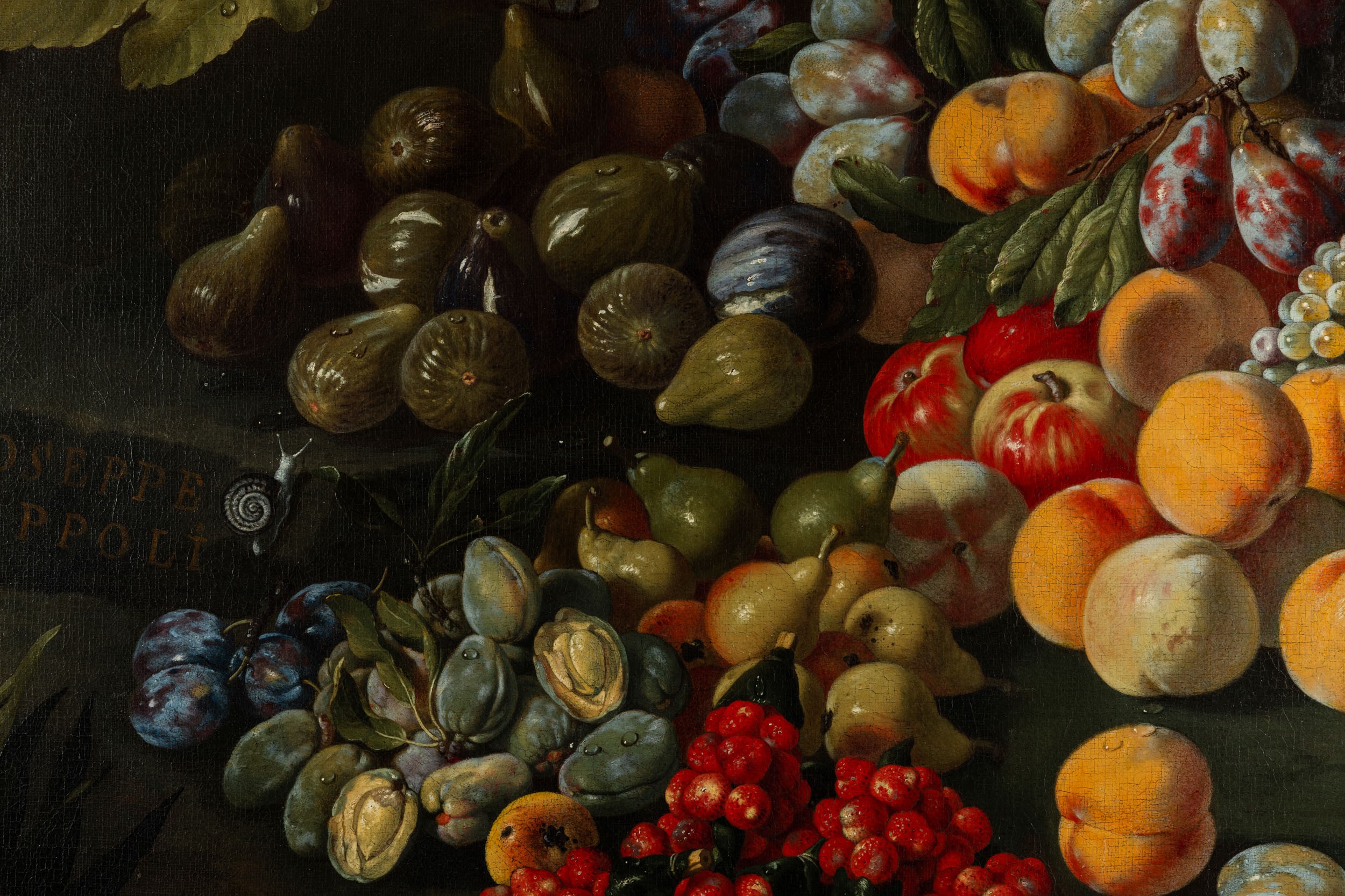 Composizione di frutti con fichi, prugne e pesche