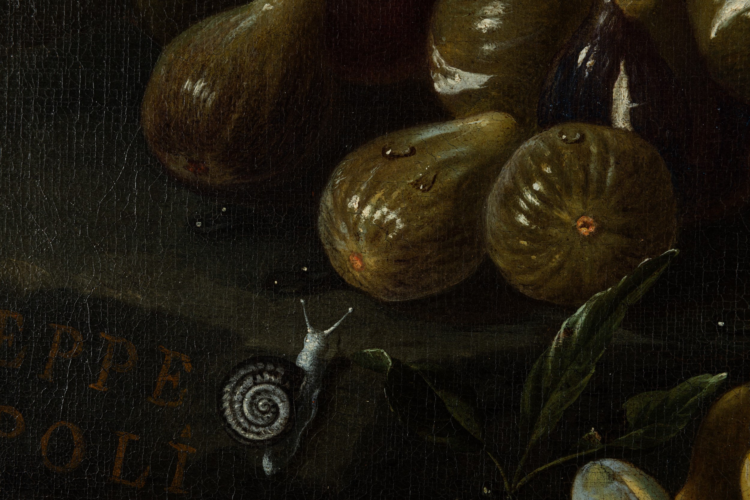 Composizione di frutti con fichi, prugne e pesche