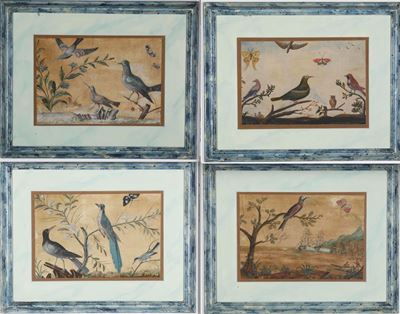 Scuola del XVIII secolo, Studi di volatili, tempera su carta
