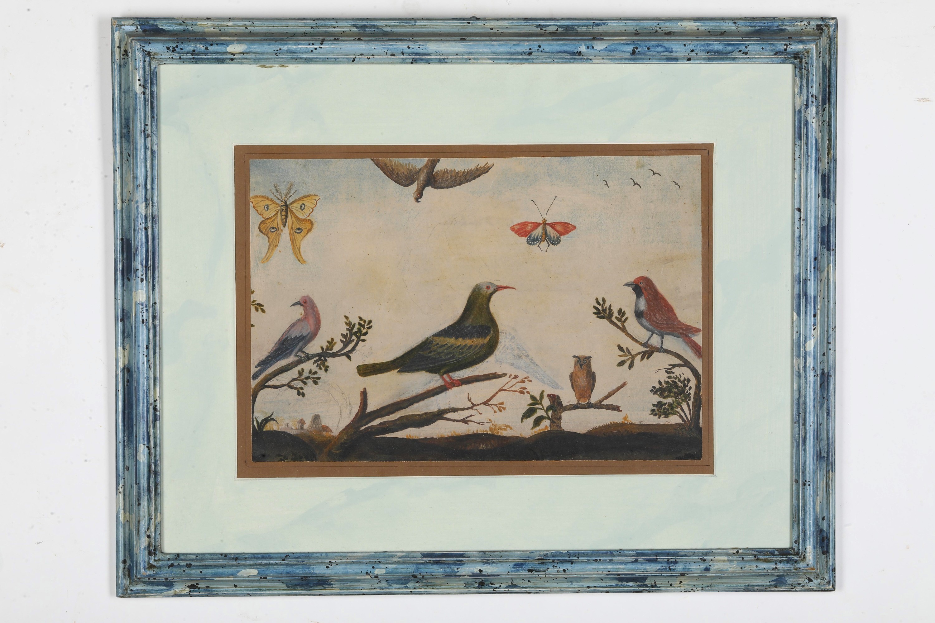 Scuola del XVIII secolo, Studi di volatili, tempera su carta