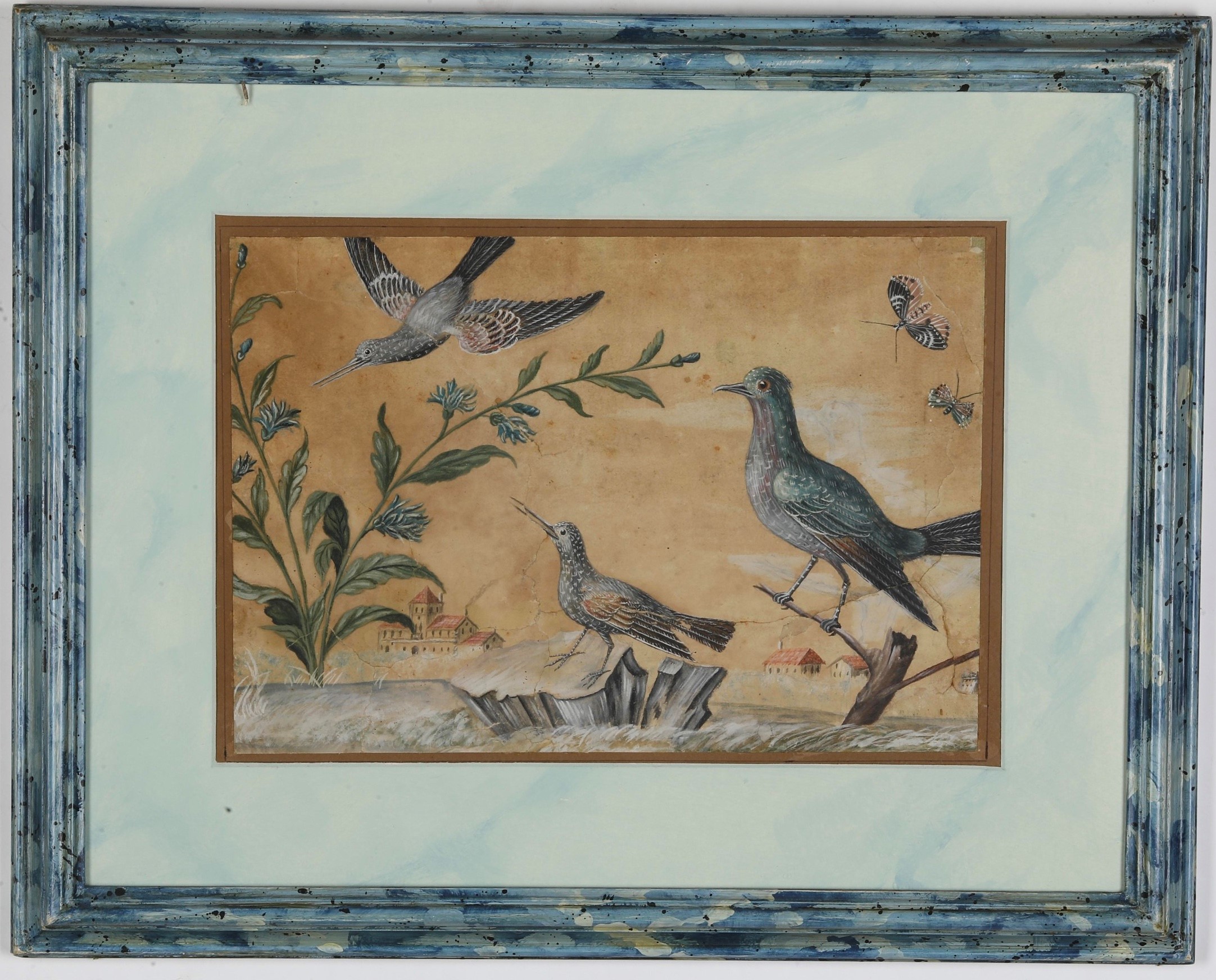 Scuola del XVIII secolo, Studi di volatili, tempera su carta