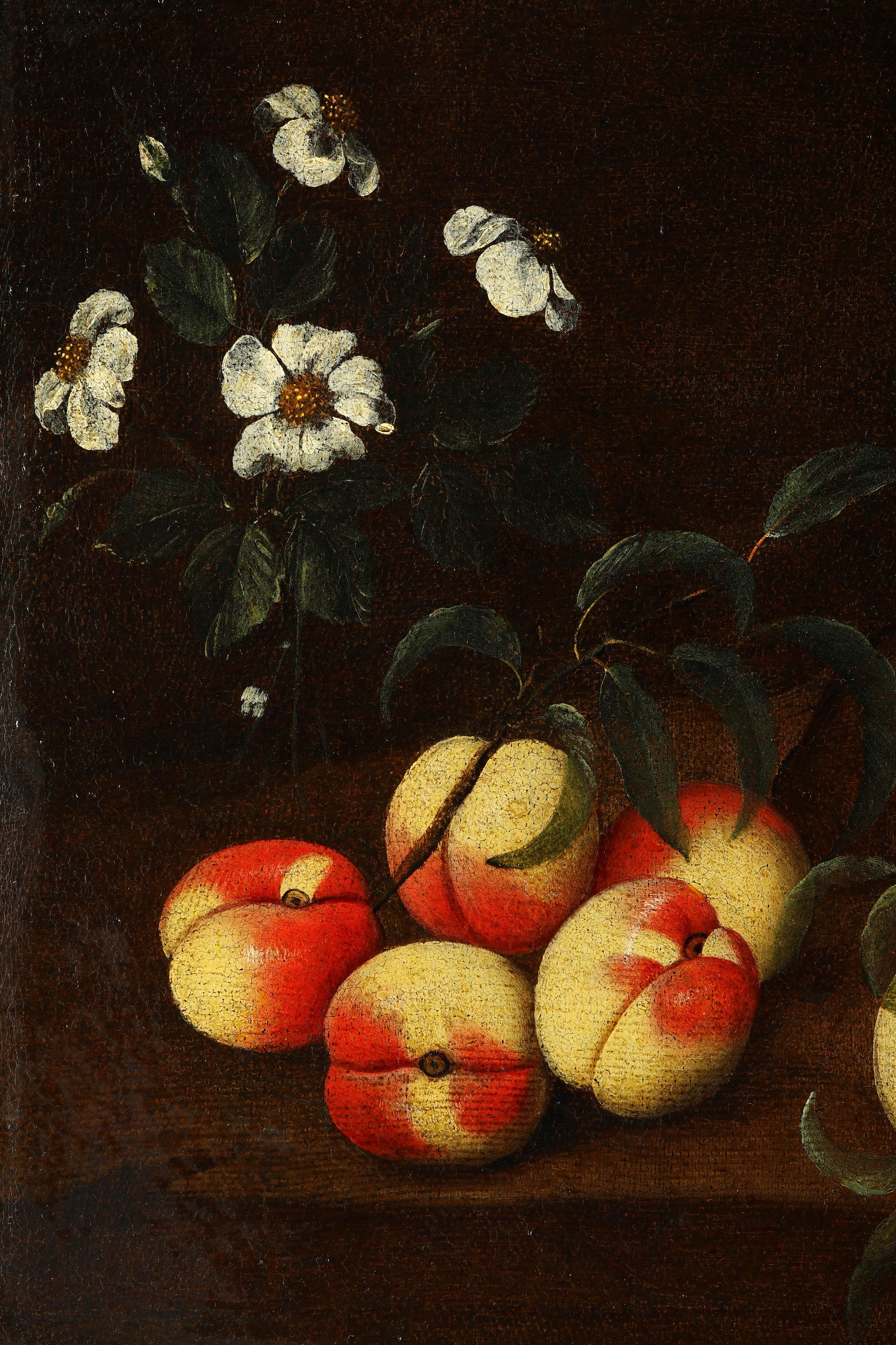 Scuola del XVII secolo, Natura morta con frutti e fiori, olio su tela