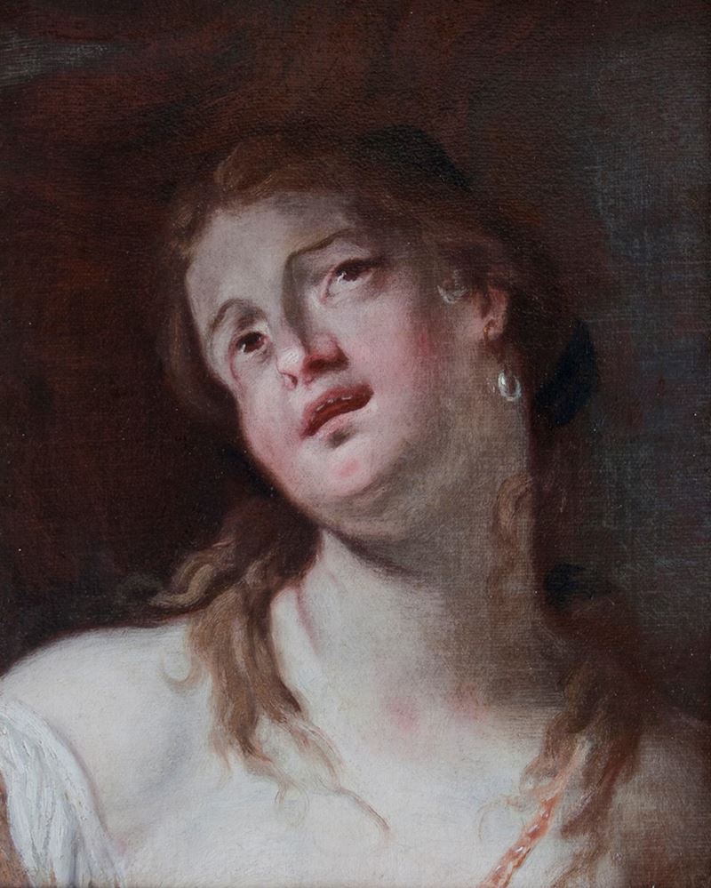 Nicola Grassi : Testa di giovane donna  - olio su tela - Asta Dipinti Antichi - Cambi Casa d'Aste