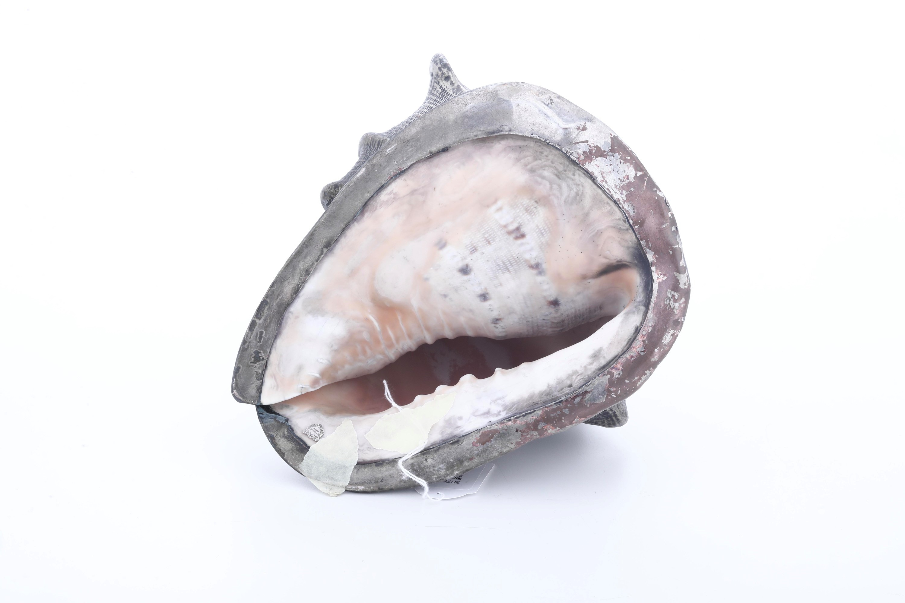 Mario Buccellati (etichetta a scudo), Grande conchiglia rivestita in argento, Italia, XX-XXI seco...