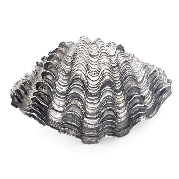 Grande conchiglia rivestita in argento. Italia, XX-XXI secolo. Etichetta a scudo Mario Buccellati
