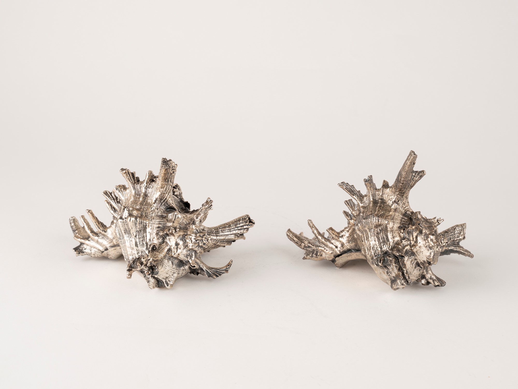Mario Buccellati, Coppia di conchiglie rivestite in argento