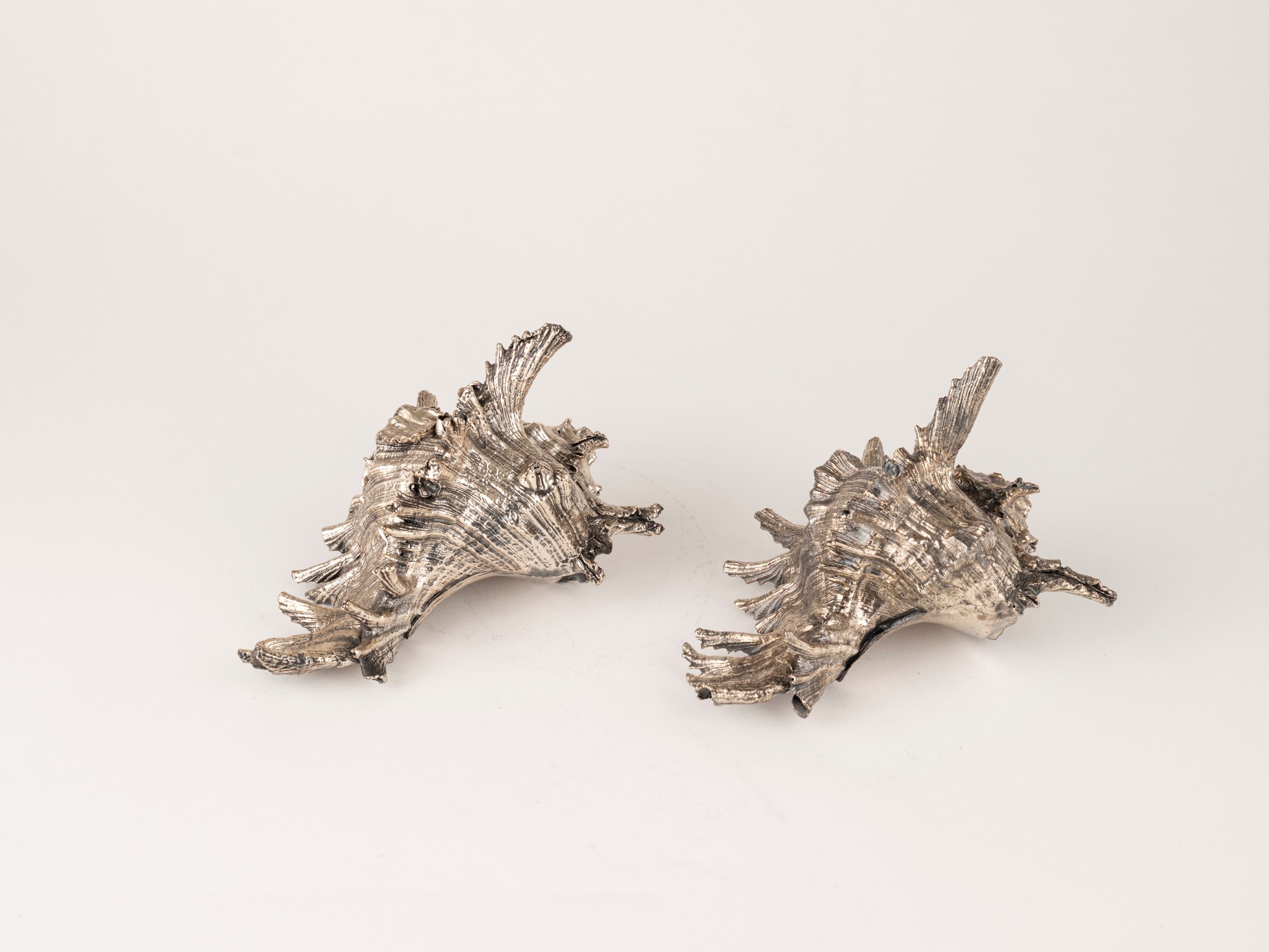 Mario Buccellati, Coppia di conchiglie rivestite in argento