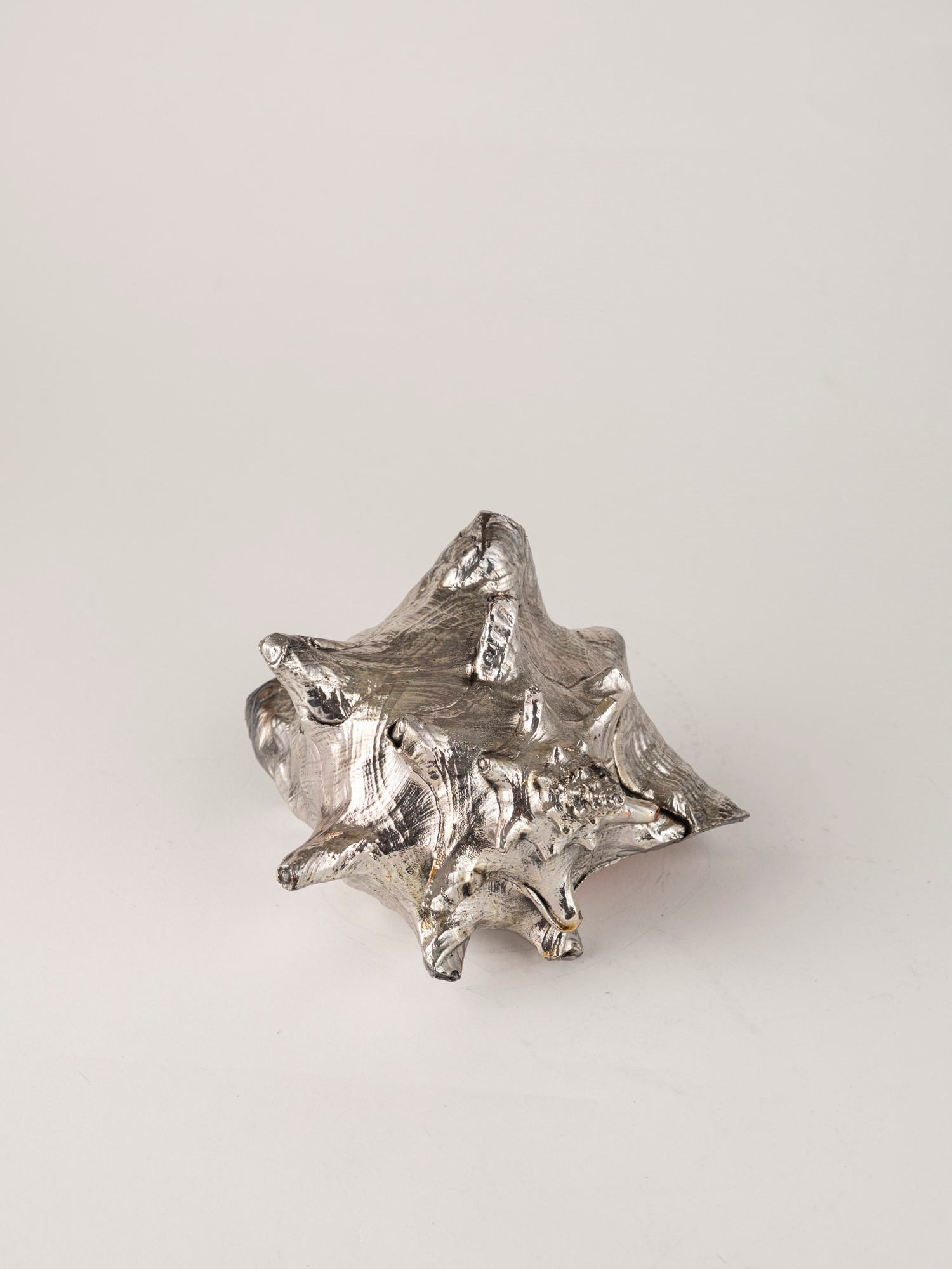 Mario Buccellati, Conchiglia rivestita in argento