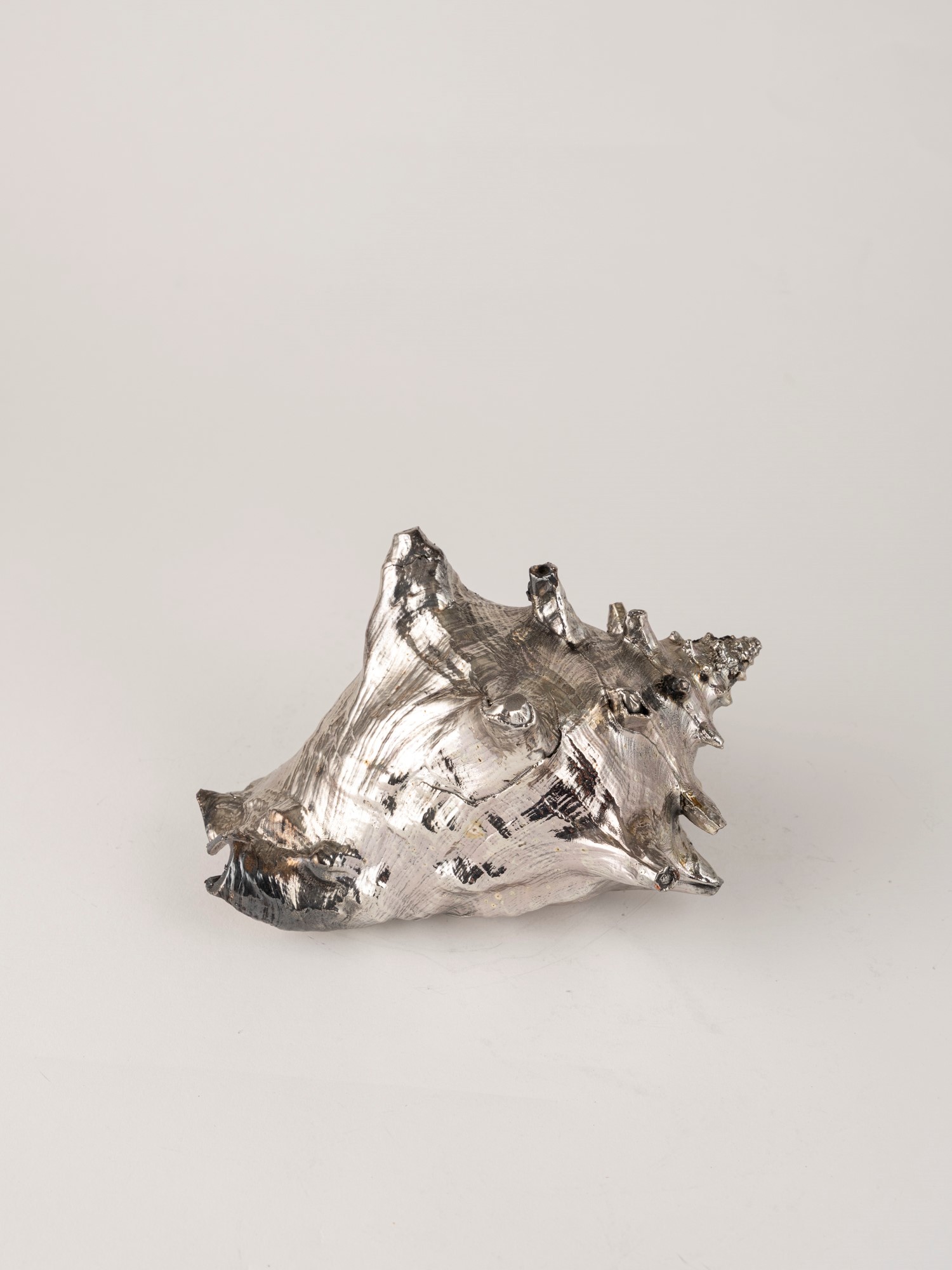 Mario Buccellati, Conchiglia rivestita in argento