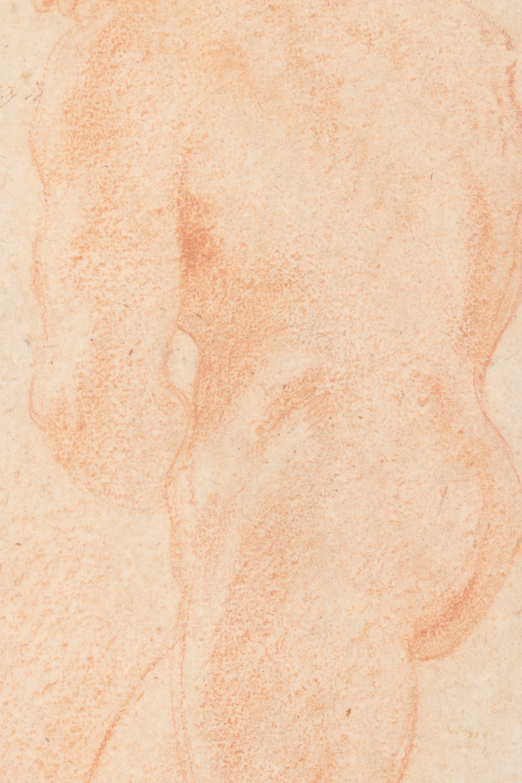Andrea Sacchi - Nudo virile di profilo