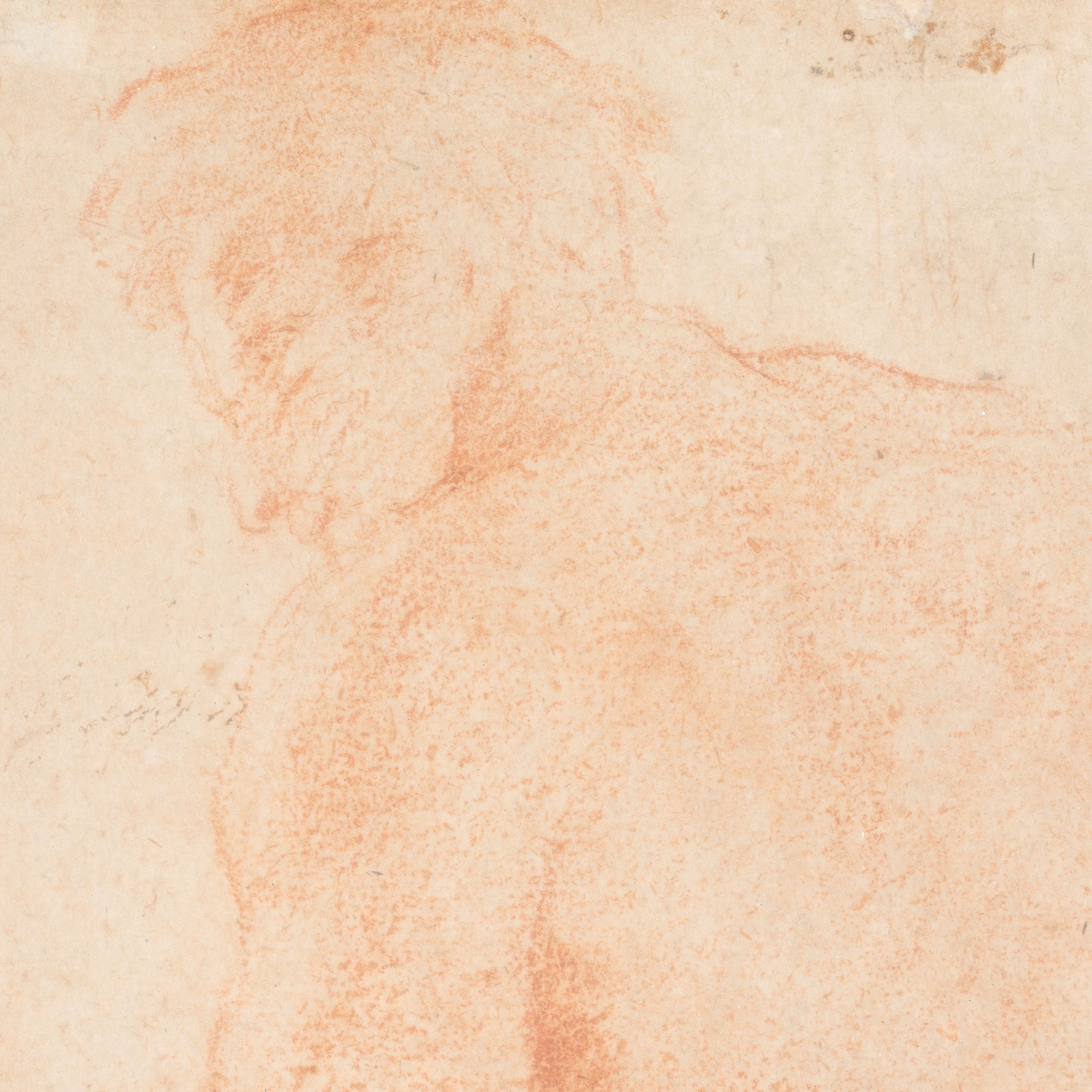 Andrea Sacchi - Nudo virile di profilo