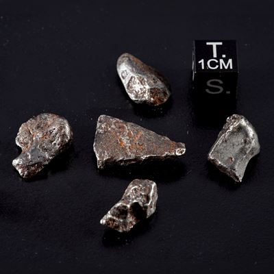 Cinque Pezzi di Meteorite Sikhote-alin Sotto Lente di Ingrandimento.