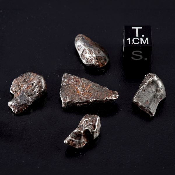 Cinque pezzi di meteorite Sikhote-Alin sotto lente di ingrandimento.
