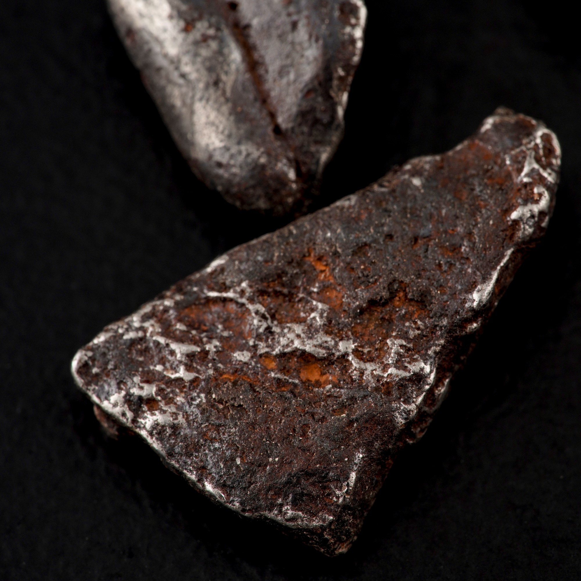 Cinque Pezzi di Meteorite Sikhote-alin Sotto Lente di Ingrandimento.