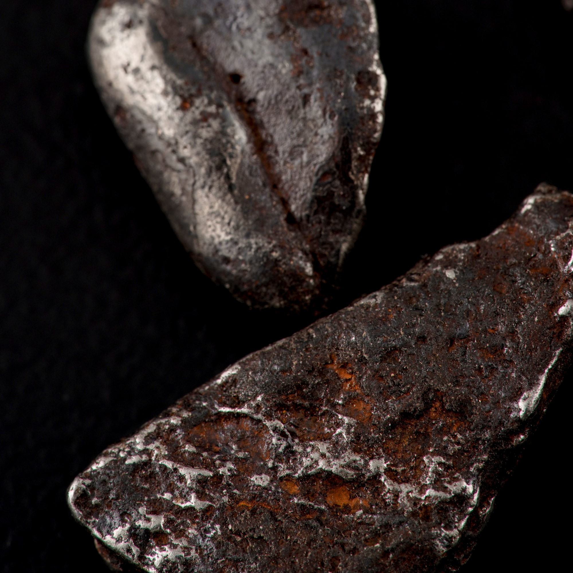 Cinque Pezzi di Meteorite Sikhote-alin Sotto Lente di Ingrandimento.