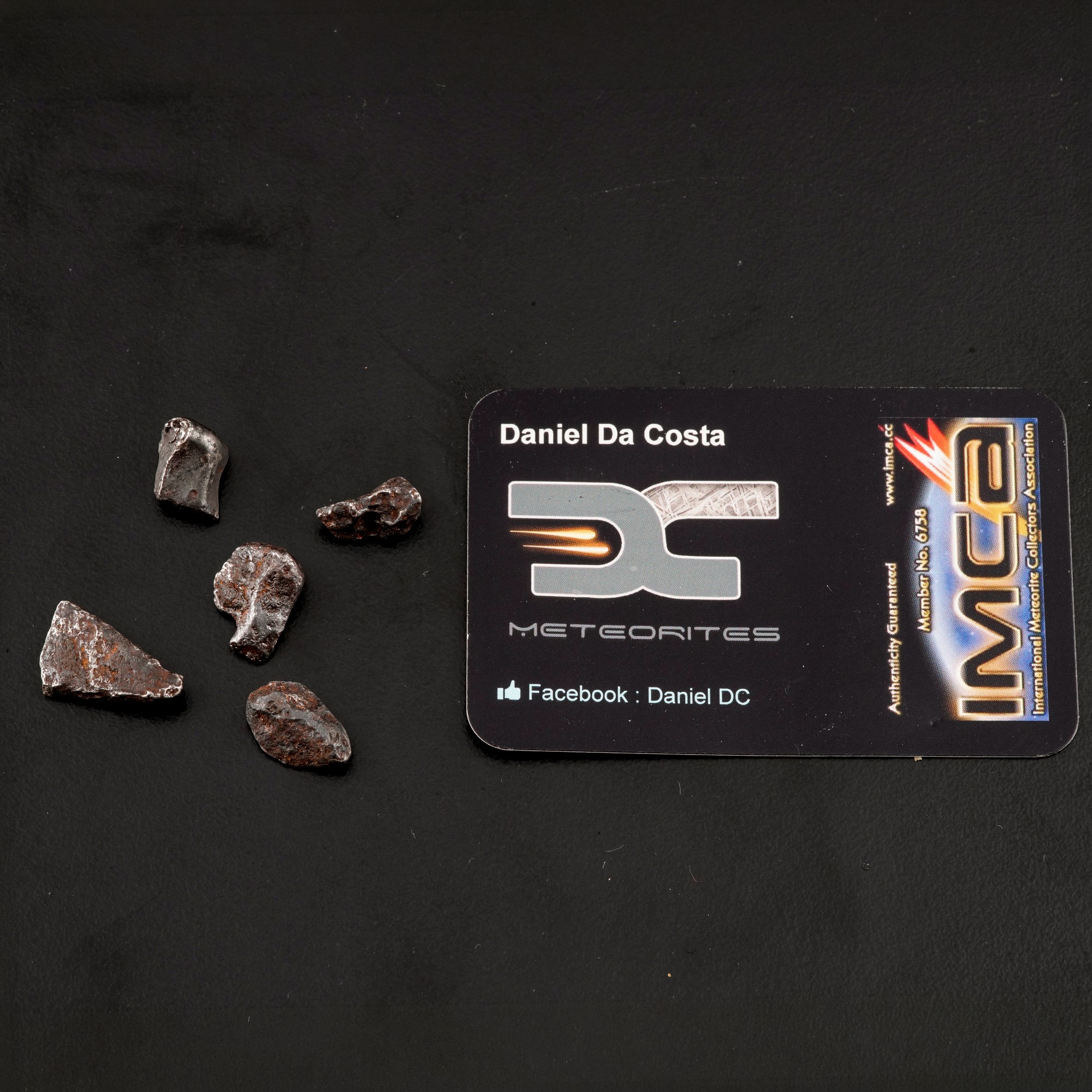 Cinque Pezzi di Meteorite Sikhote-alin Sotto Lente di Ingrandimento.