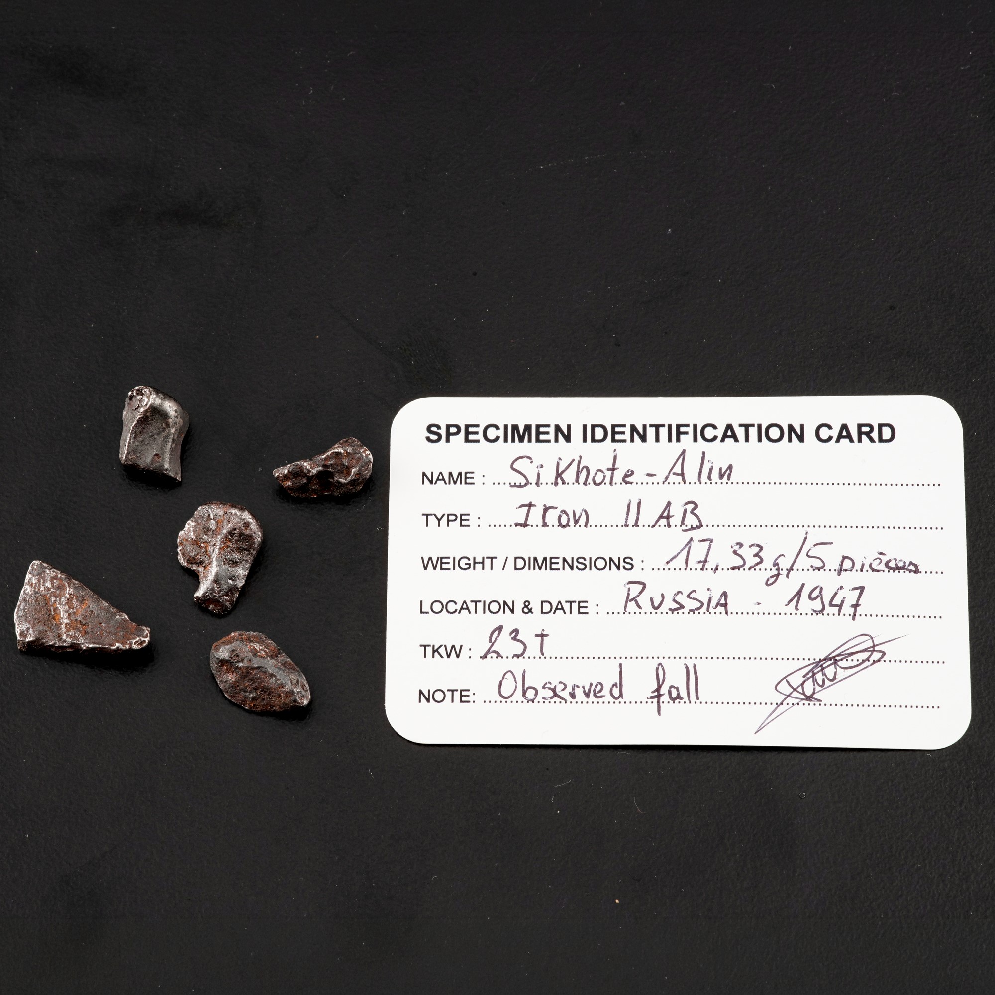 Cinque Pezzi di Meteorite Sikhote-alin Sotto Lente di Ingrandimento.