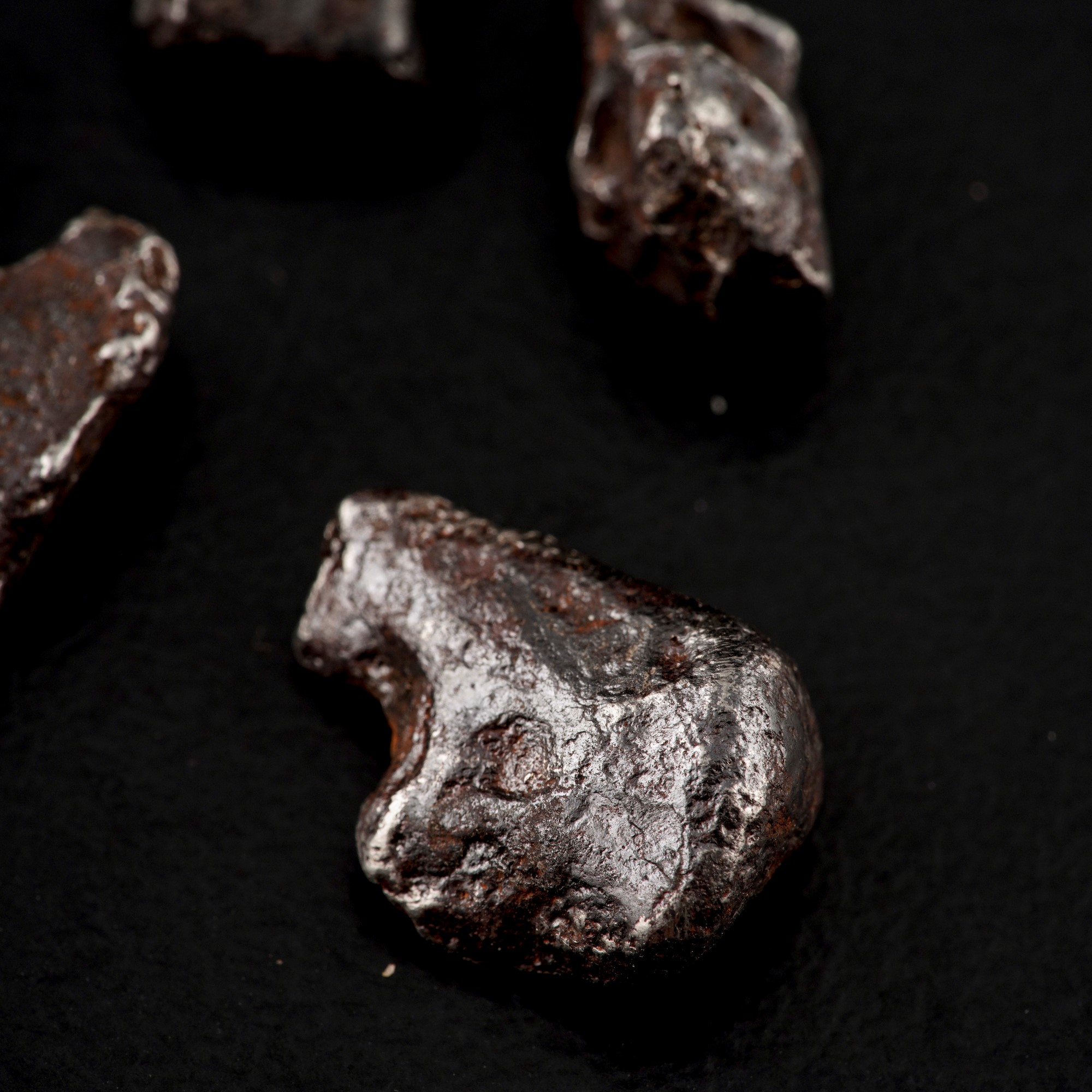 Cinque Pezzi di Meteorite Sikhote-alin Sotto Lente di Ingrandimento.