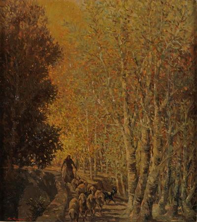 Nel bosco dei faggi