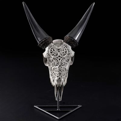 Scultura/oggetto etnografico, Cranio inciso di capra grigia (Capra hircus) con motivo a felce