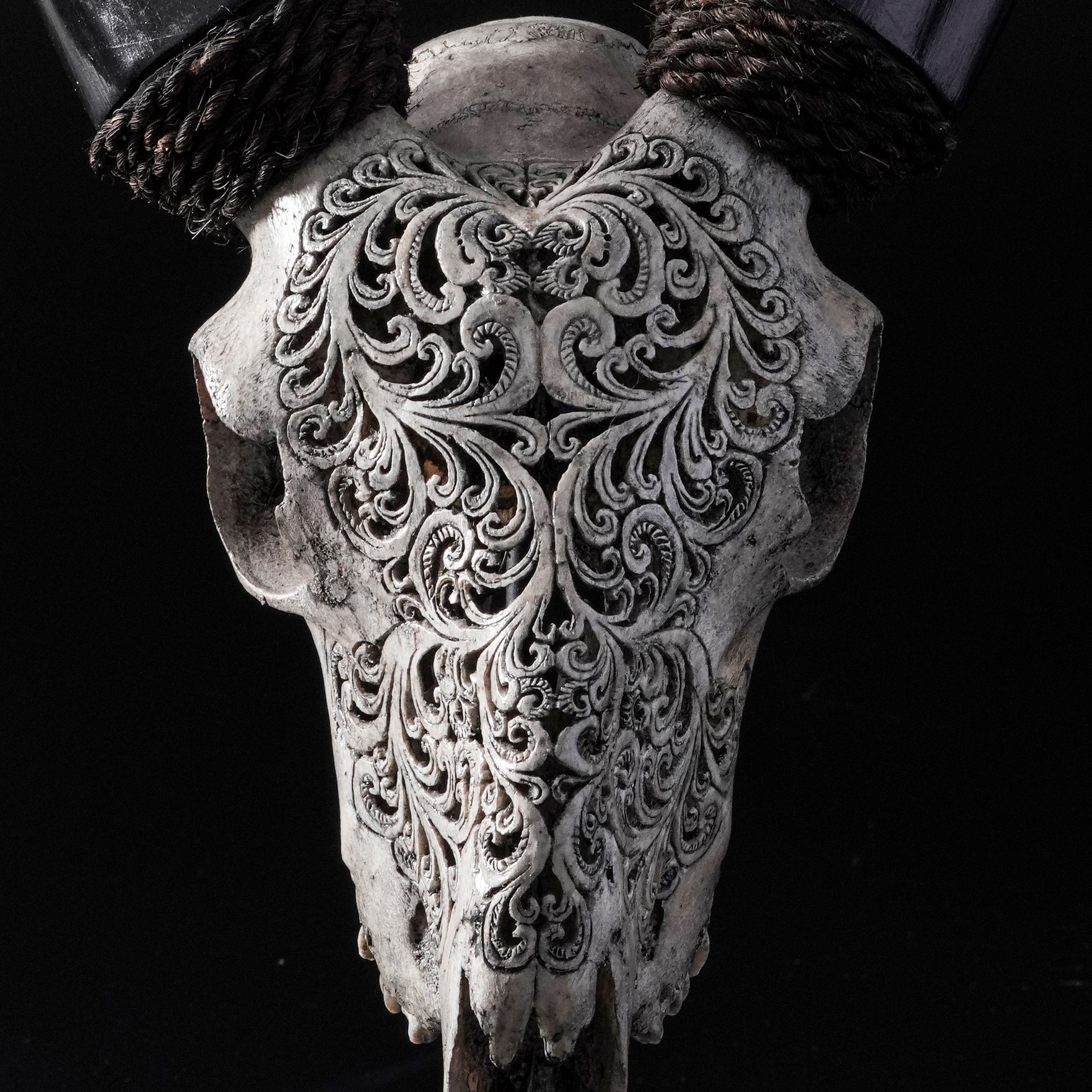 Scultura/oggetto etnografico, Cranio inciso di capra grigia (Capra hircus) con motivo a felce
