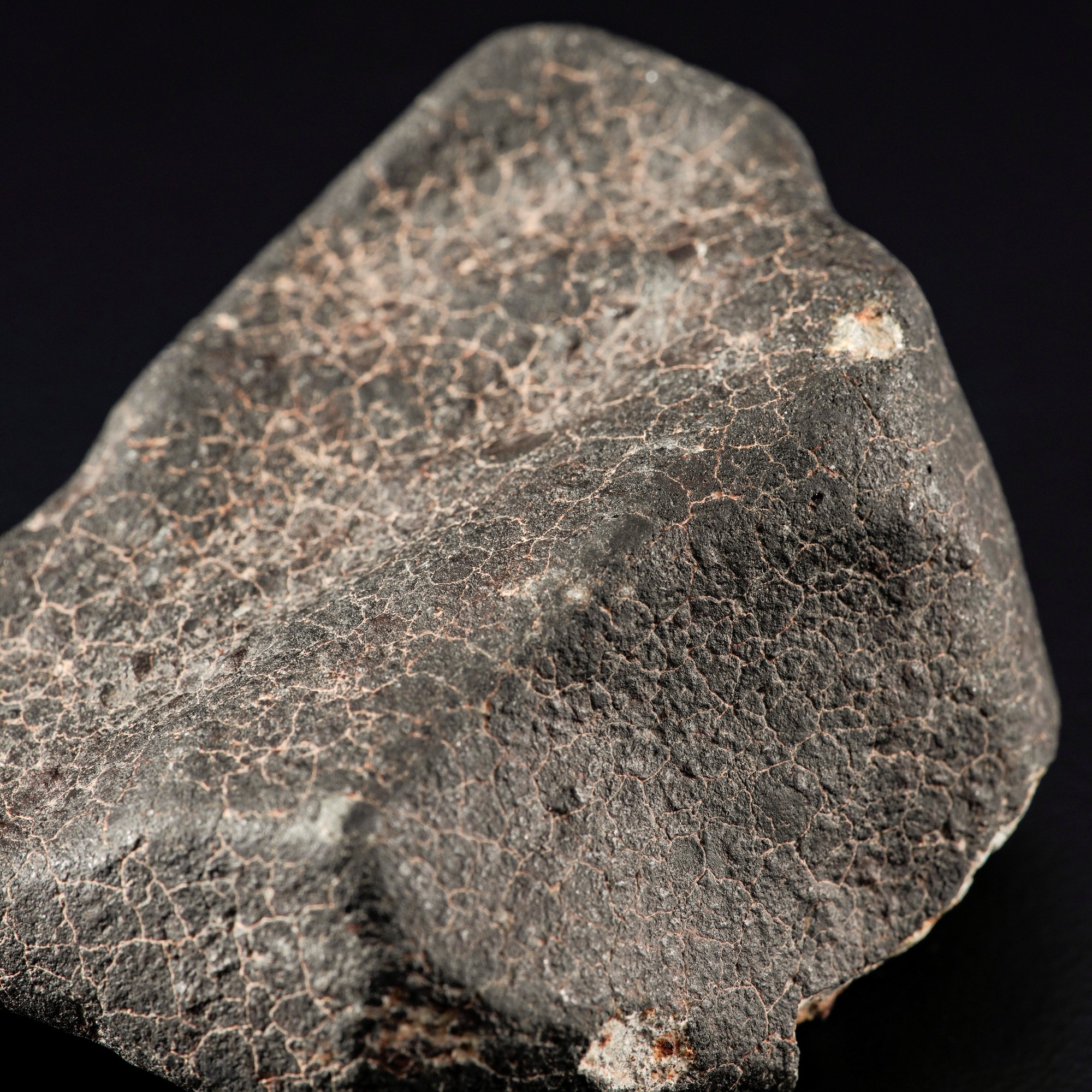 Hammadah al Hamra 346, Condrite L6 (meteorite) con crosta di fusione