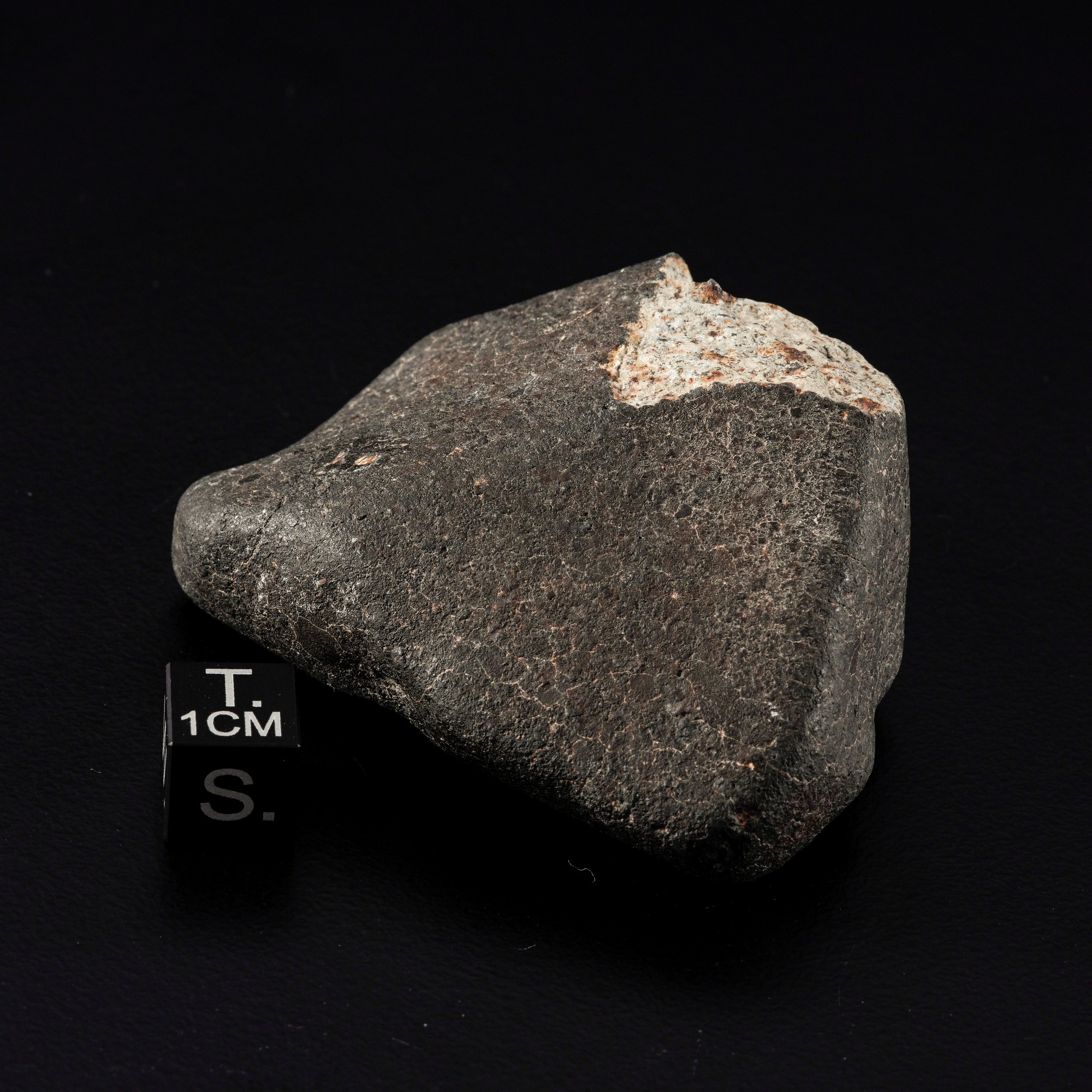 Hammadah al Hamra 346, Condrite L6 (meteorite) con crosta di fusione