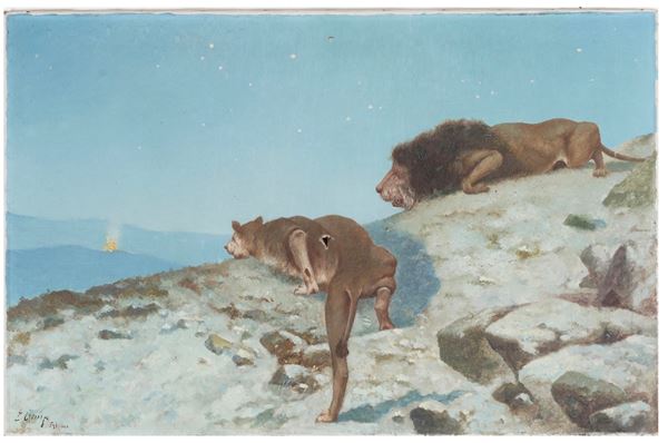 Leoni in agguato