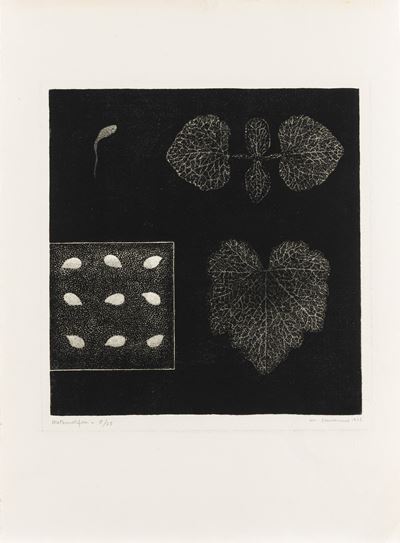Metamorfosi (acquatinta) 1973