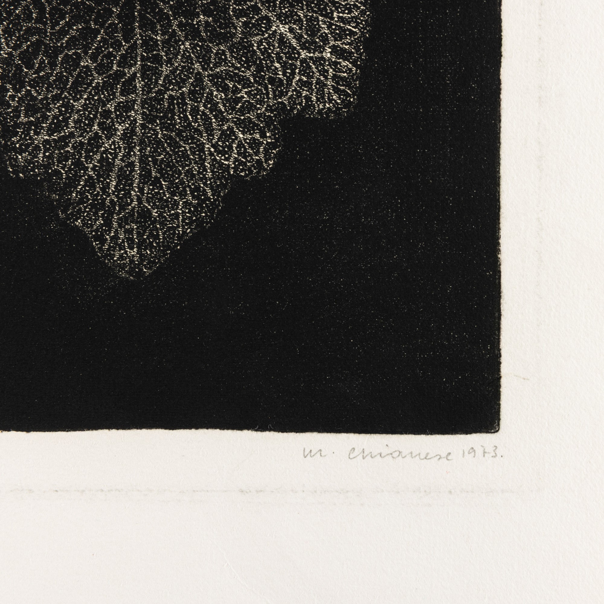 Mario Chianese - Metamorfosi (acquatinta) 1973