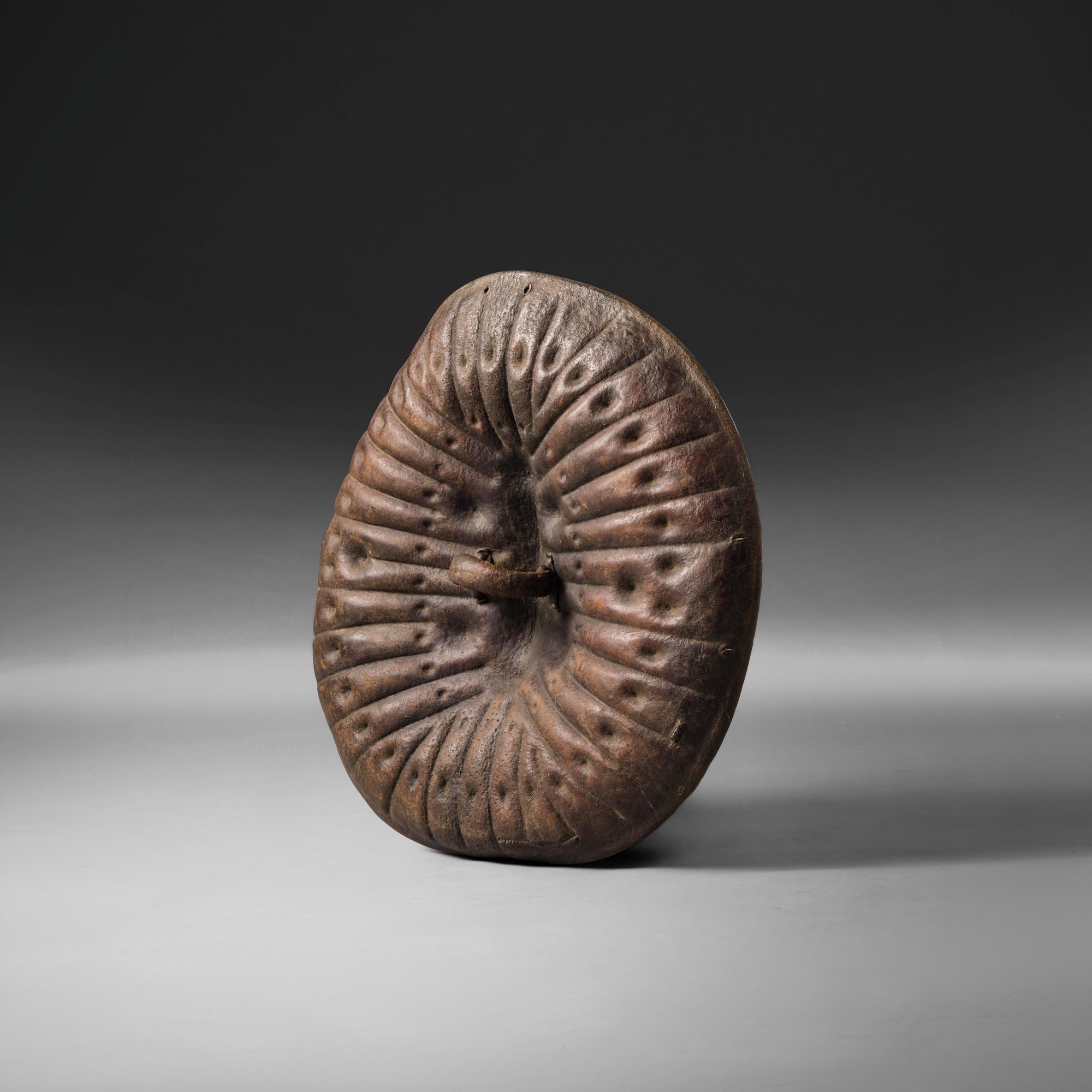 Ammarro, Scudo etiope in pelle