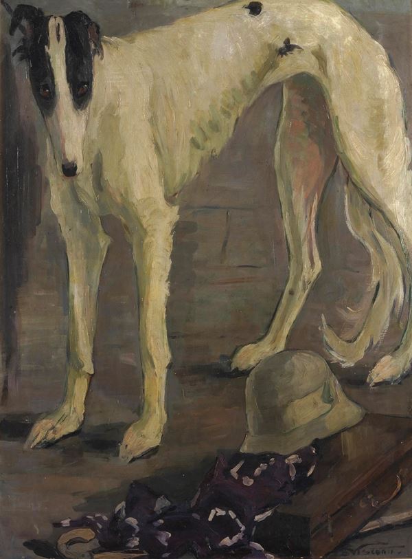 Il mio levriero