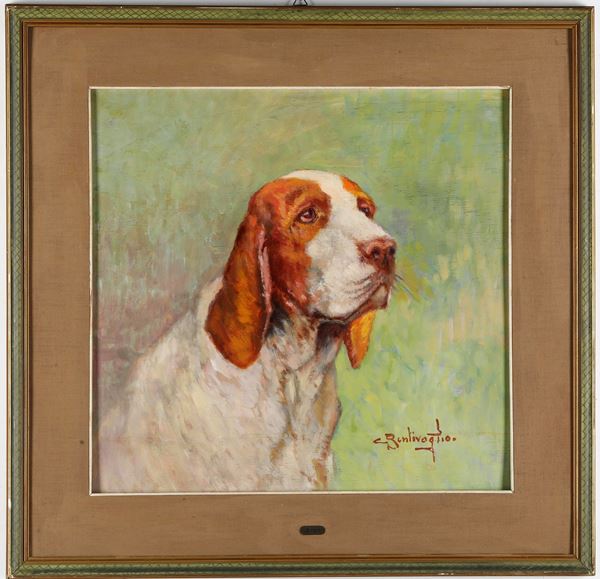 Cesare Bentivoglio - Setter