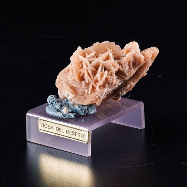 Rosa del deserto